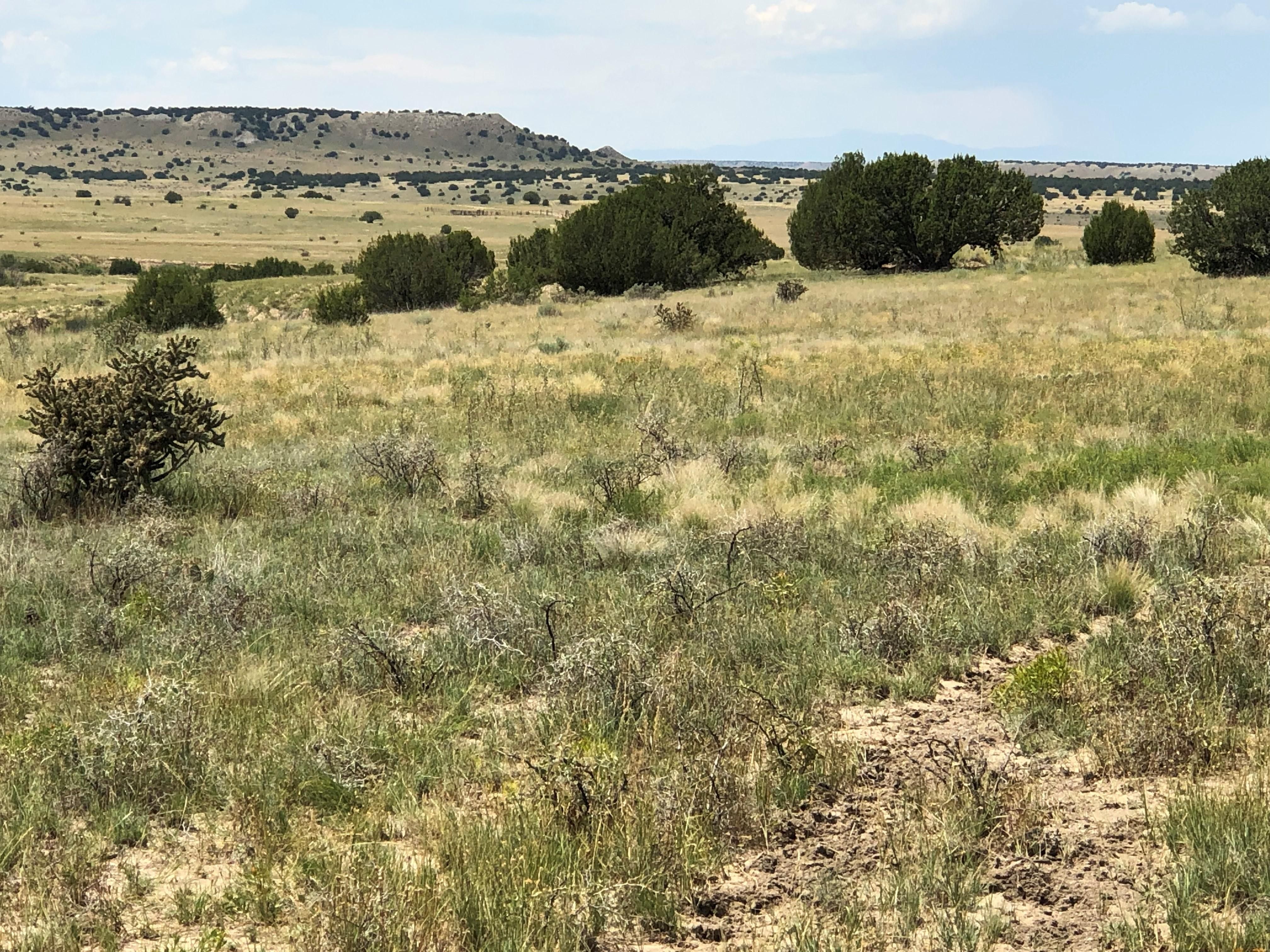 Model, Las Animas County, CO Farms and Ranches, Recreational Property