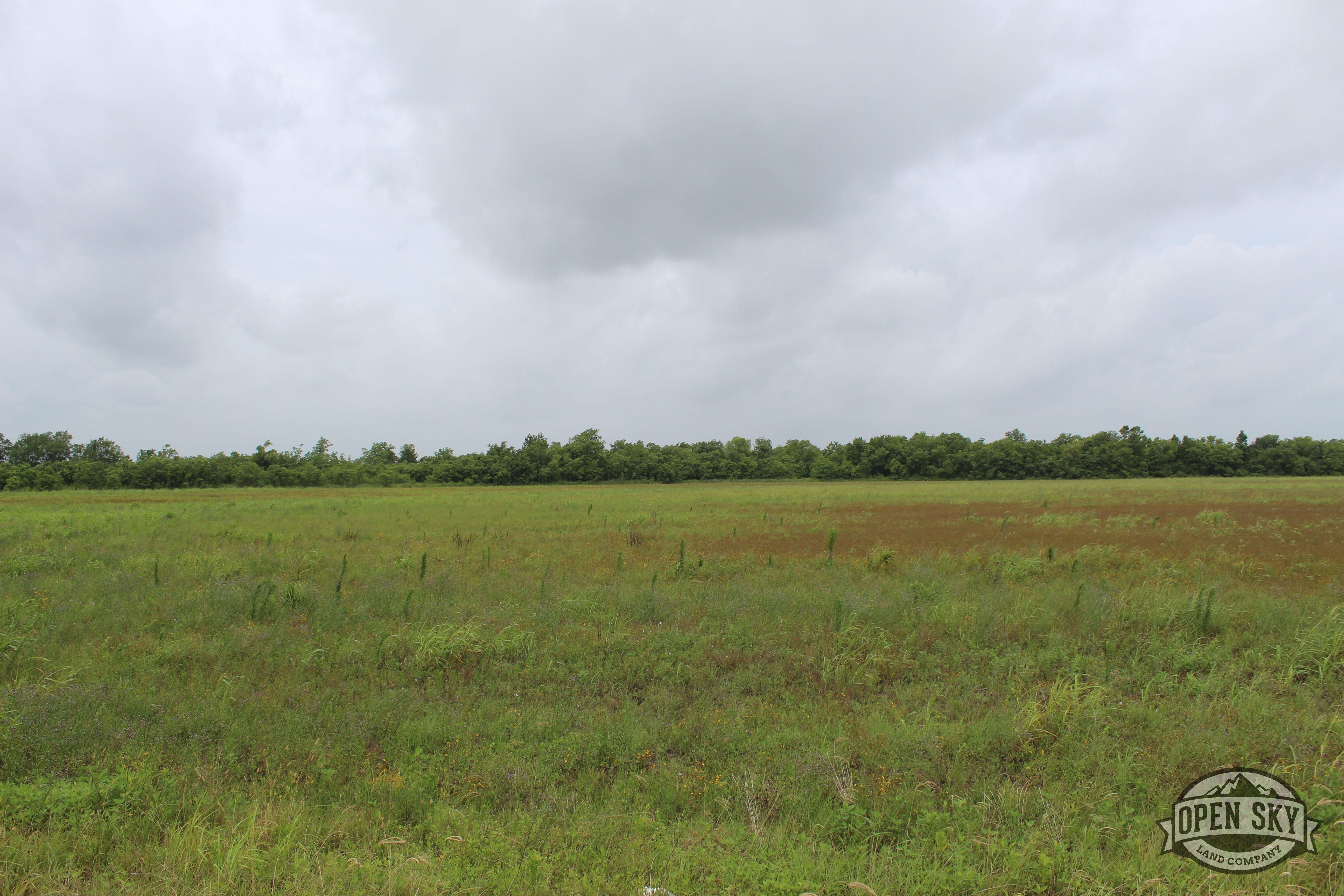 Angleton, Brazoria County, TX Recreational Property, Undeveloped Land