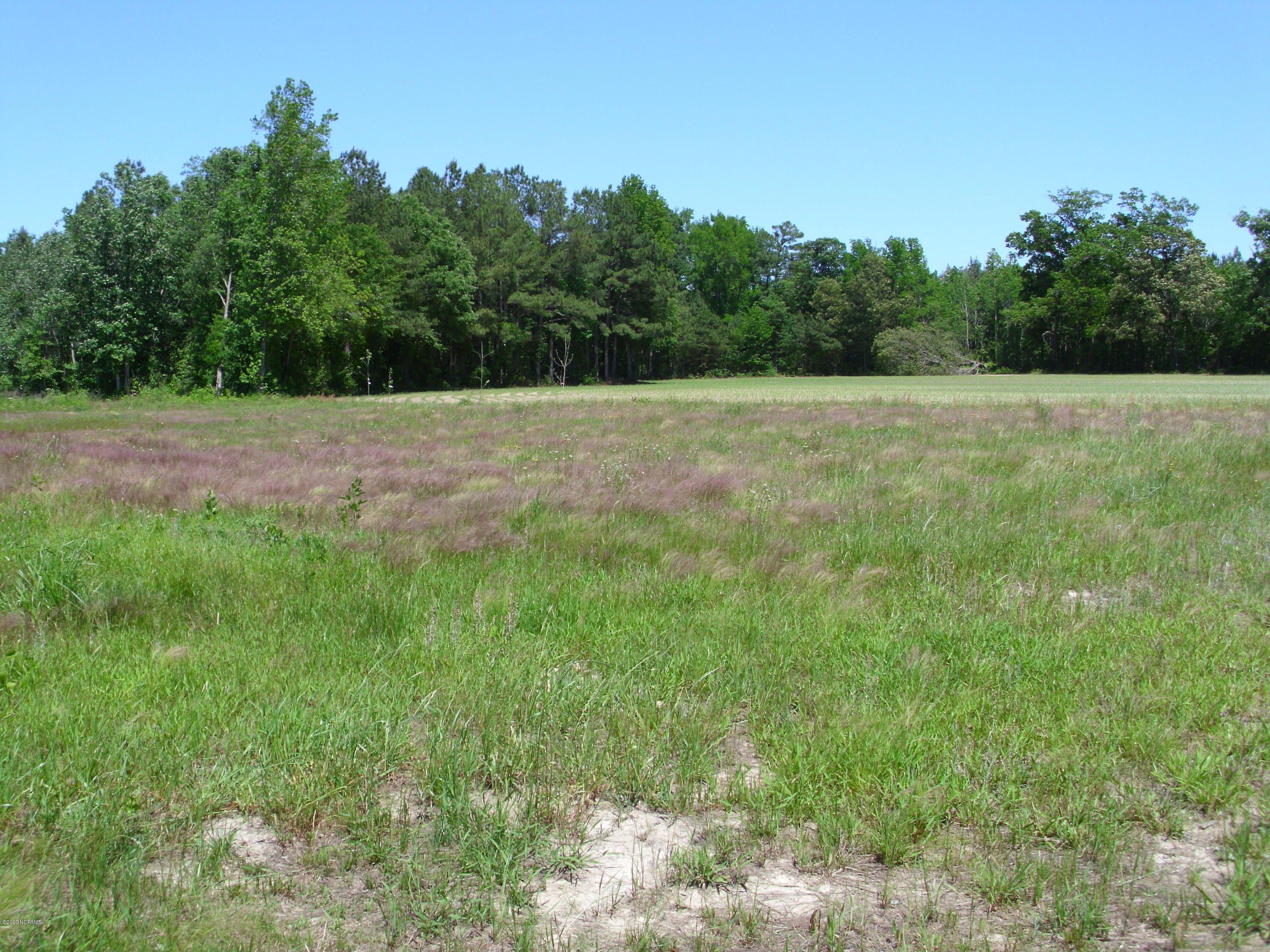 Rocky Mount, Nash County, NC Undeveloped Land for sale Property ID