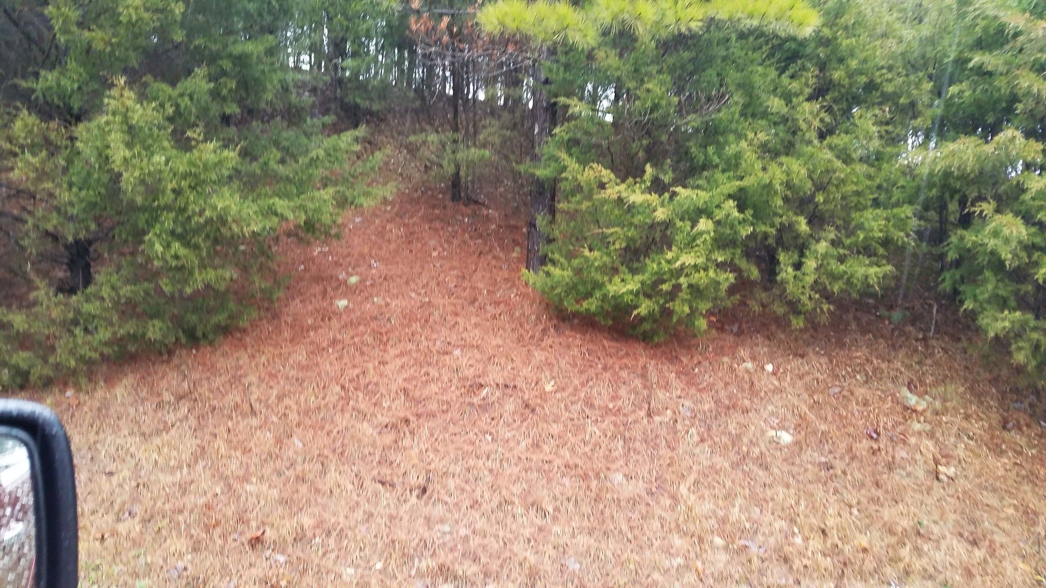 Lyles, Hickman County, TN Undeveloped Land for sale Property ID