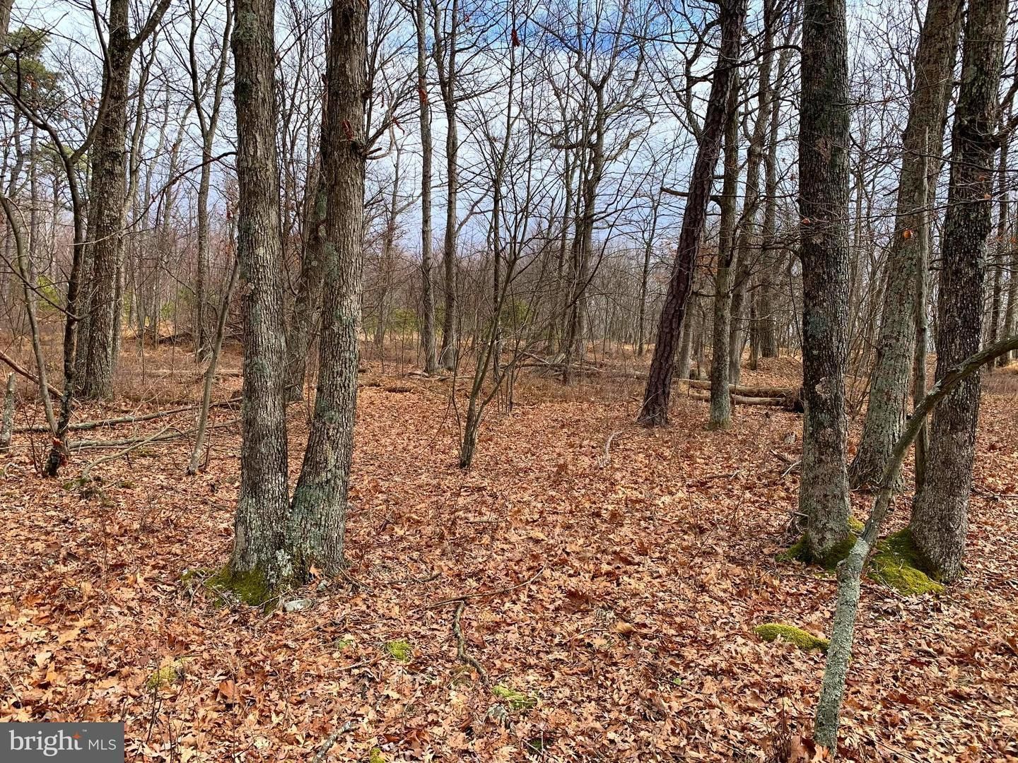 Moorefield, Hardy County, WV Recreational Property, Hunting Property