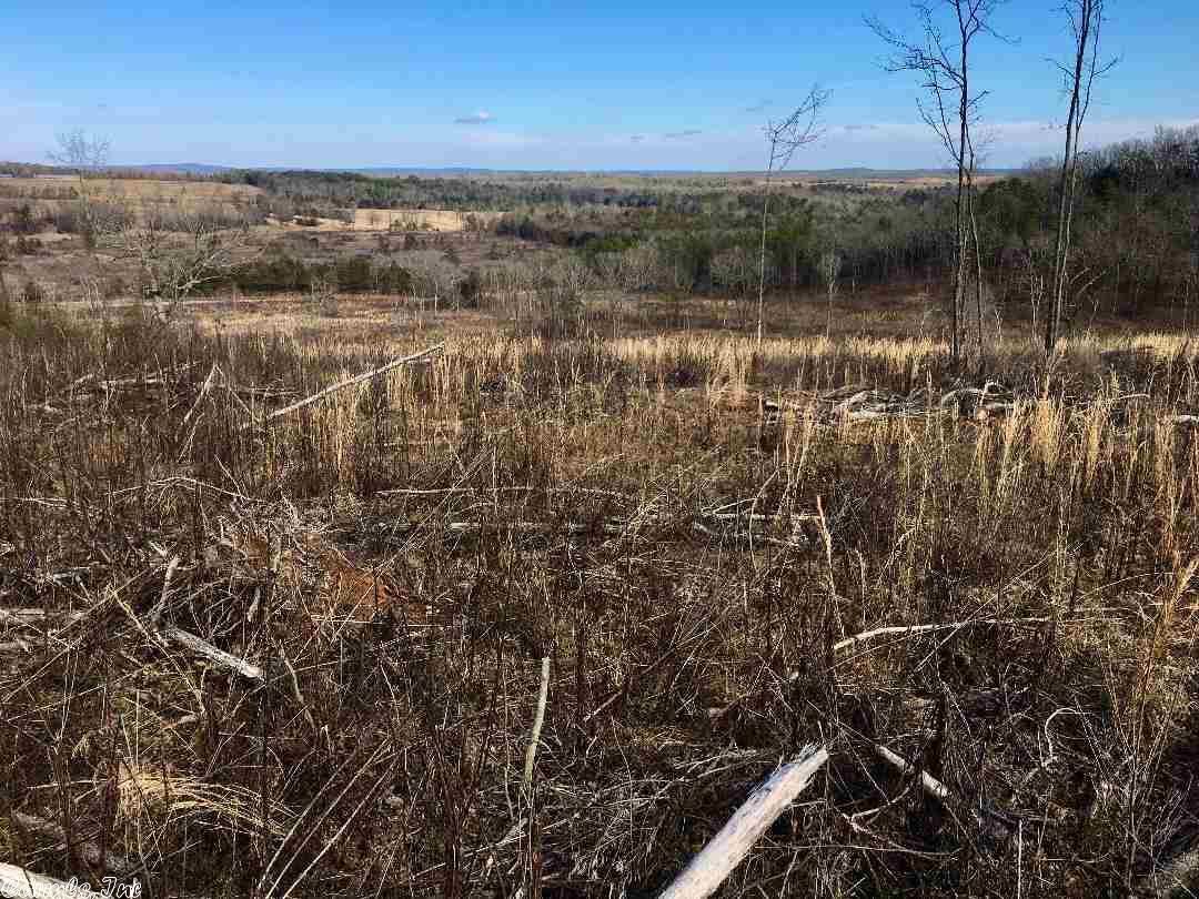Cleveland, Conway County, AR Undeveloped Land for sale Property ID 337281775 LandWatch