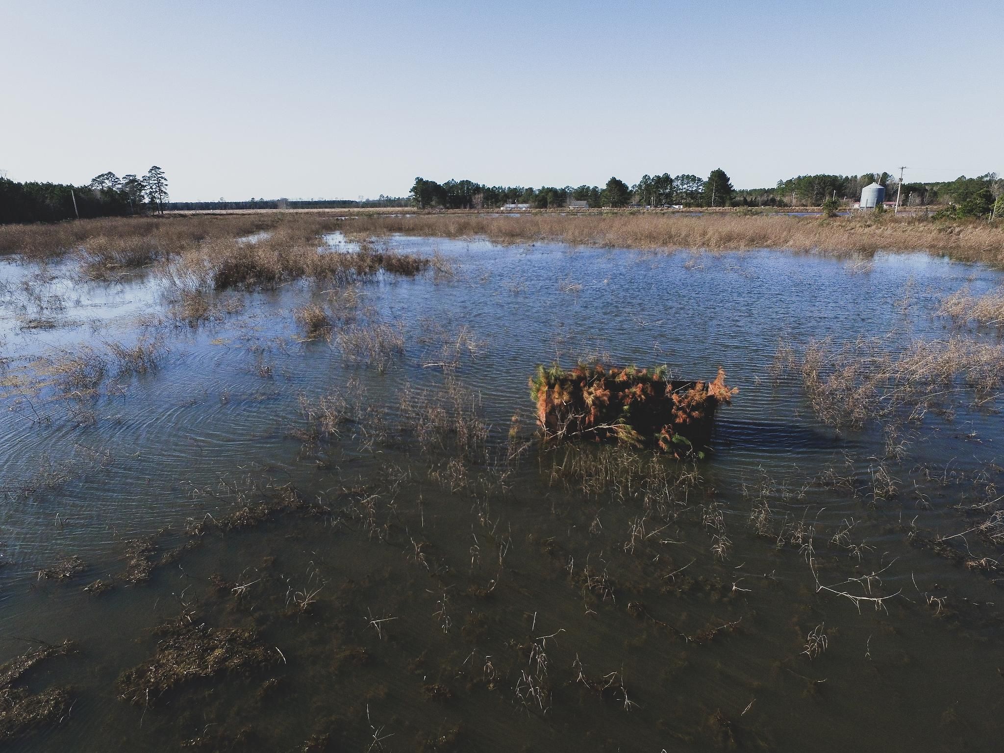 Windsor, Bertie County, NC Farms and Ranches, Recreational Property
