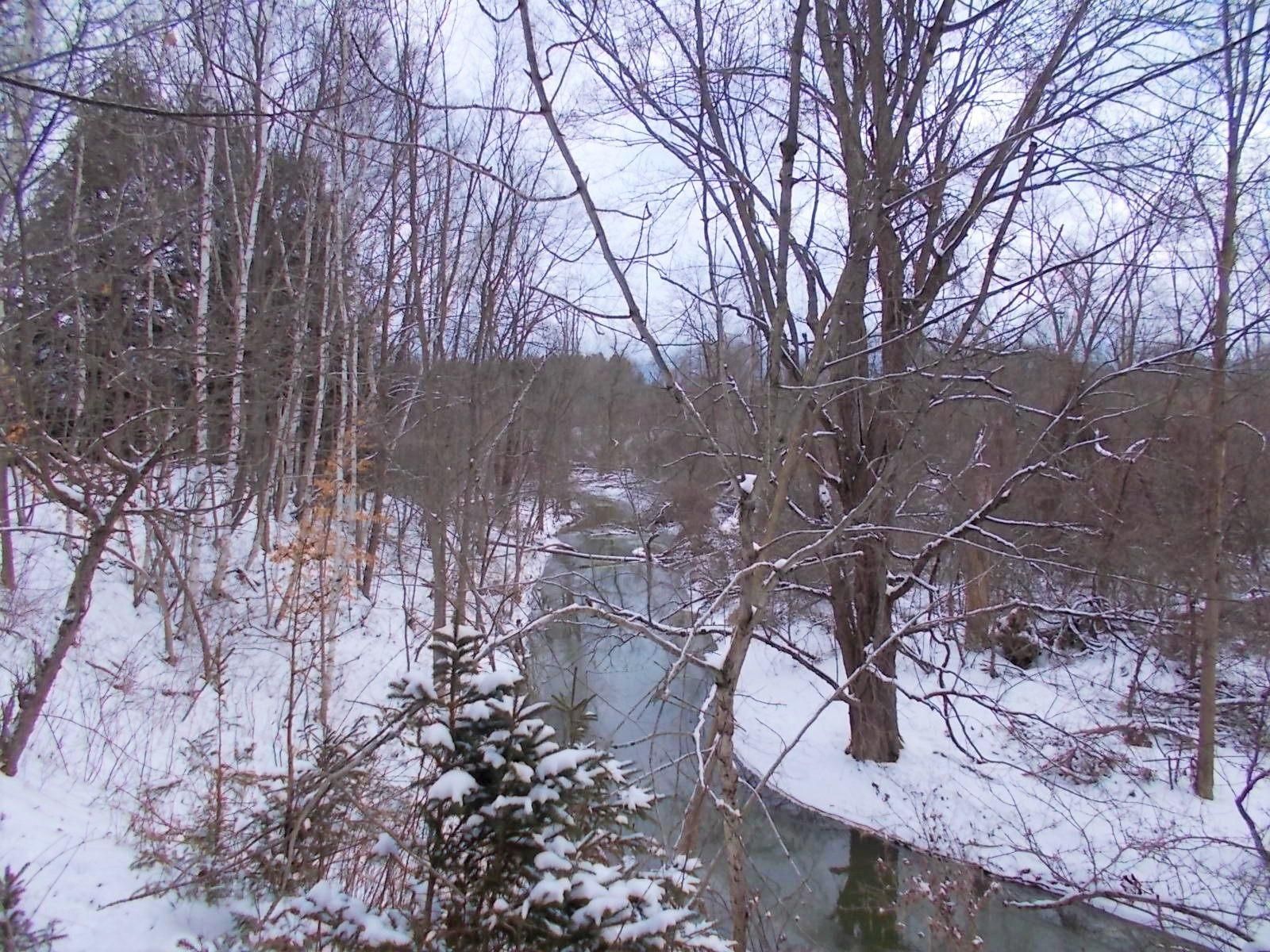 Croswell, Sanilac County, MI Recreational Property, Hunting Property