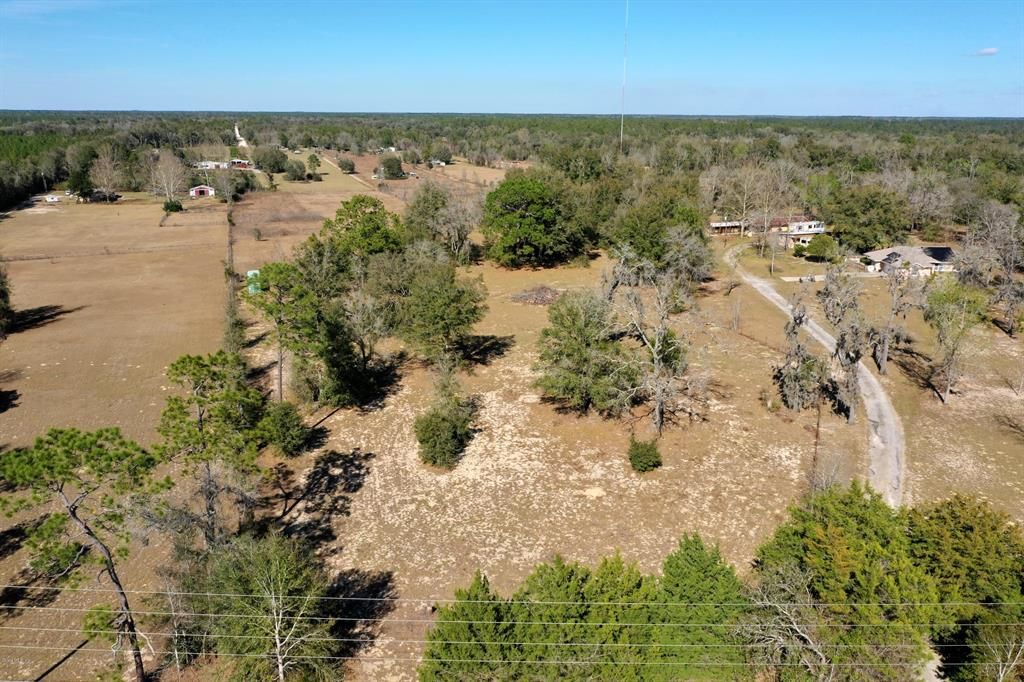Williston, Levy County, FL Undeveloped Land for sale Property ID