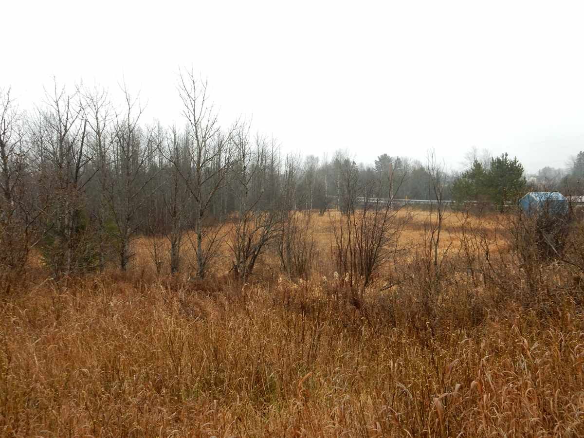 Germfask, Schoolcraft County, MI Undeveloped Land, Lakefront Property