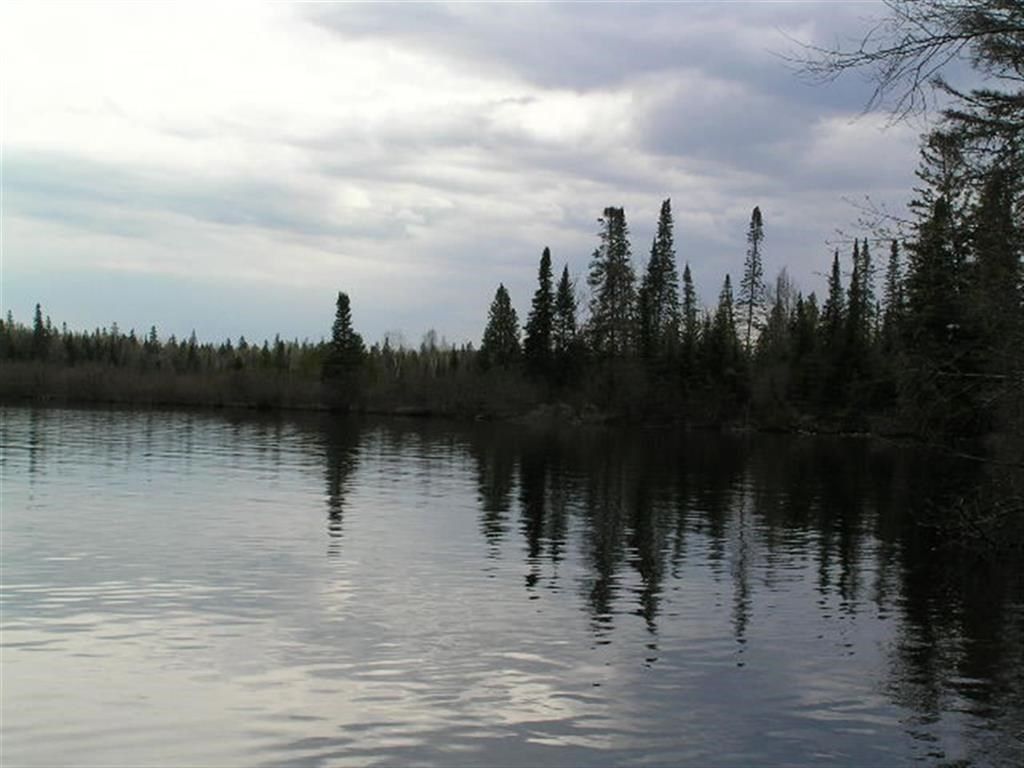 Watersmeet, Gogebic County, MI Undeveloped Land for sale Property ID
