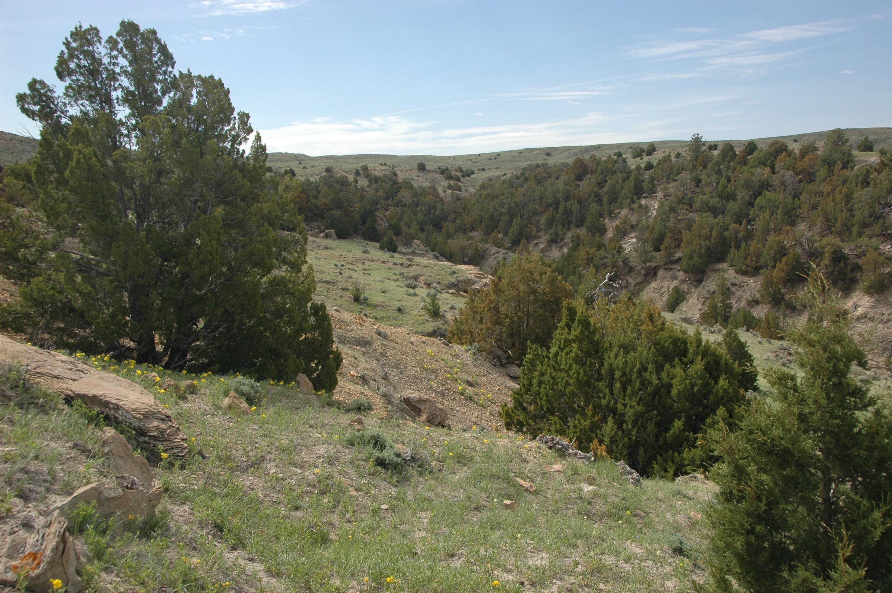 Lance Creek, Niobrara County, WY Recreational Property, Undeveloped