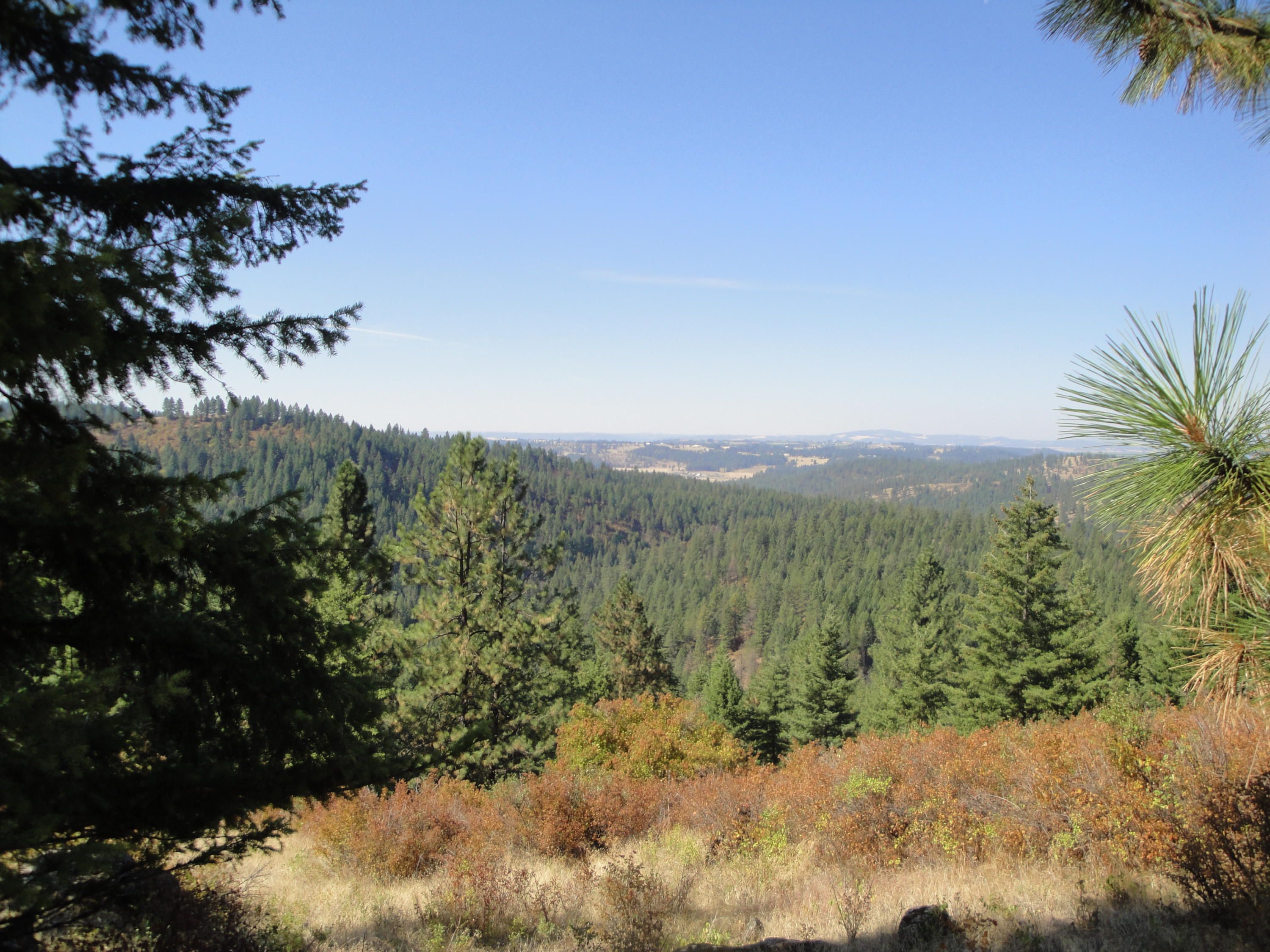 Mead, Spokane County, WA Undeveloped Land, Lakefront Property, Waterfront Property for sale