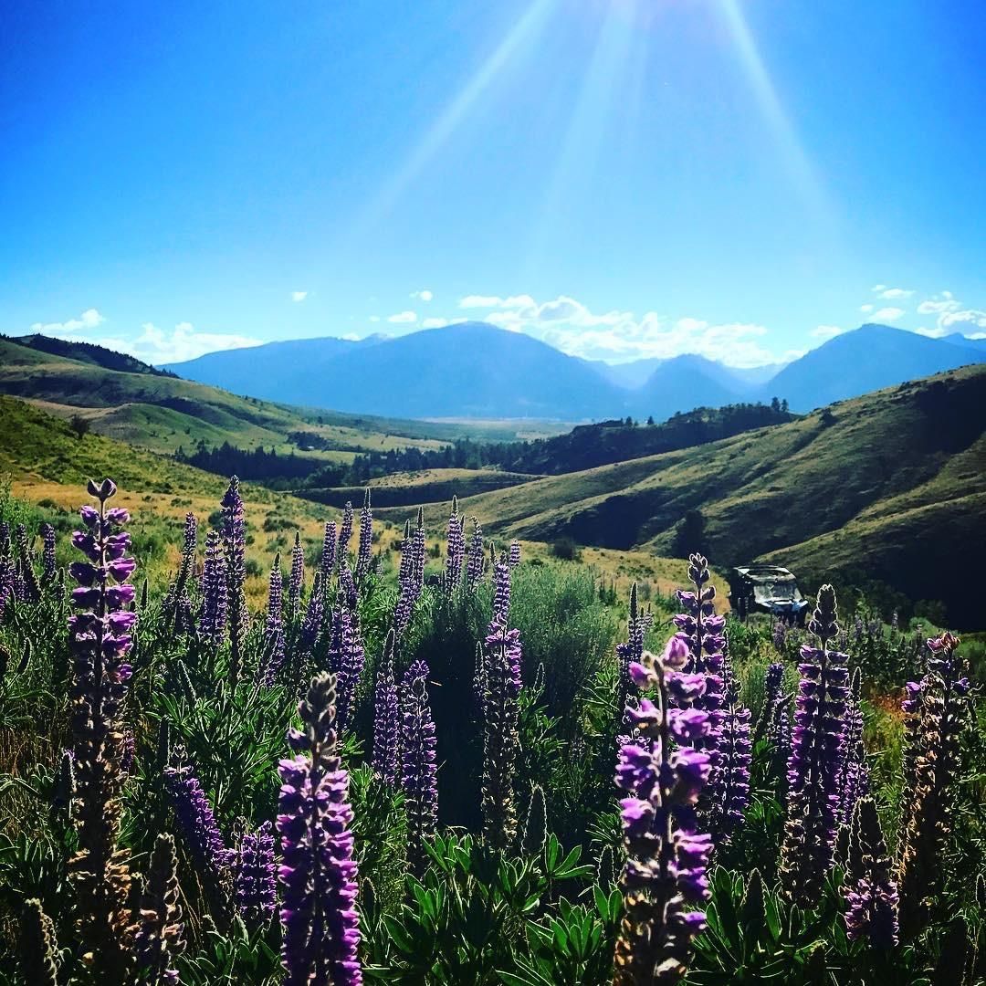 Hamilton, Ravalli County, MT Undeveloped Land for sale Property ID