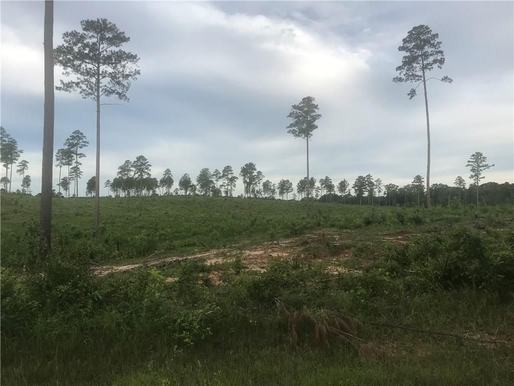 Dry Prong, Grant Parish, LA Undeveloped Land for sale Property ID 337309463 LandWatch