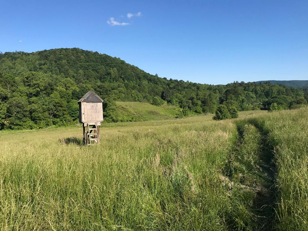Ferguson, Wilkes County, NC Farms and Ranches, Recreational Property