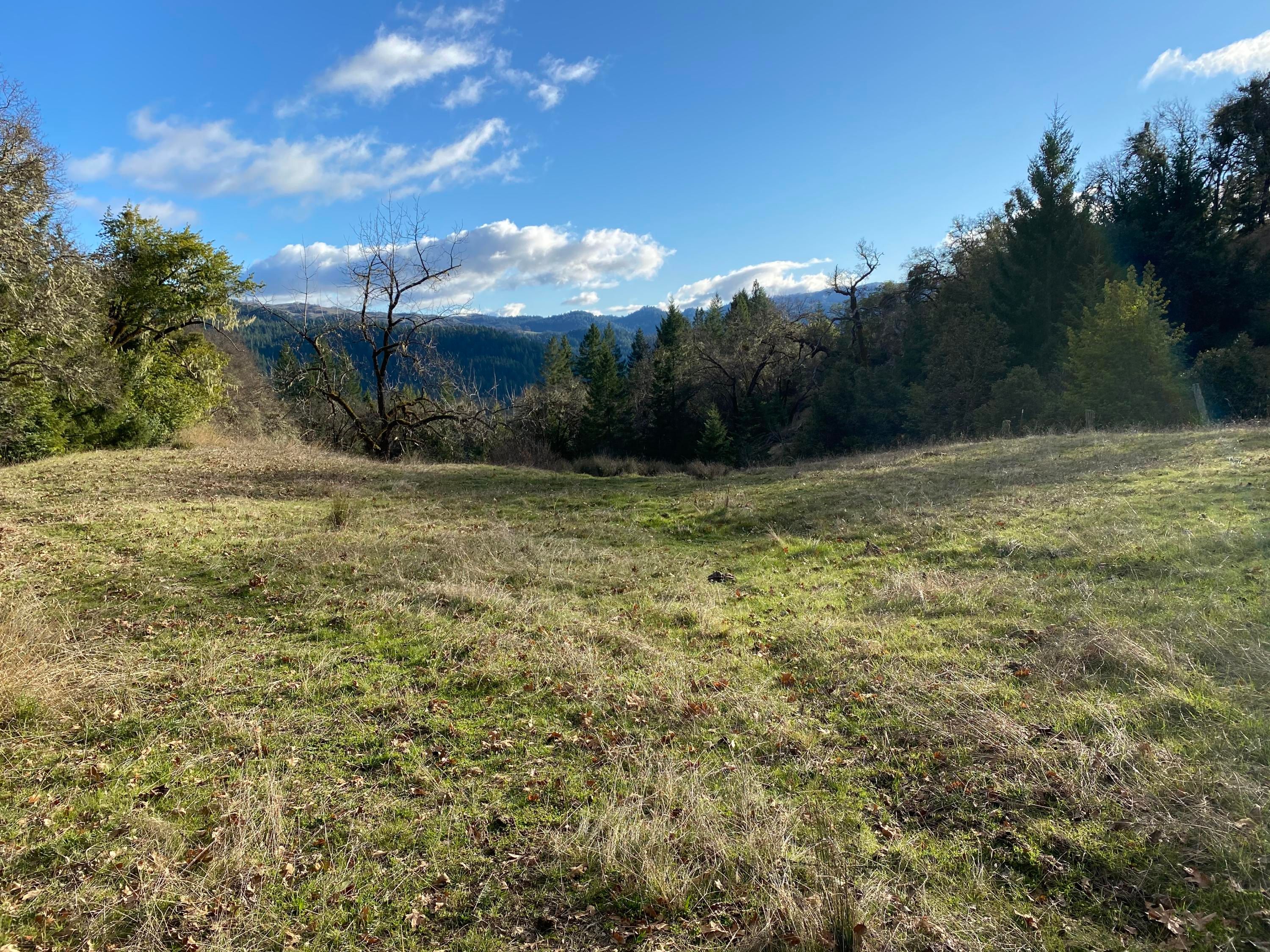 Zenia, Trinity County, CA Undeveloped Land for sale Property ID