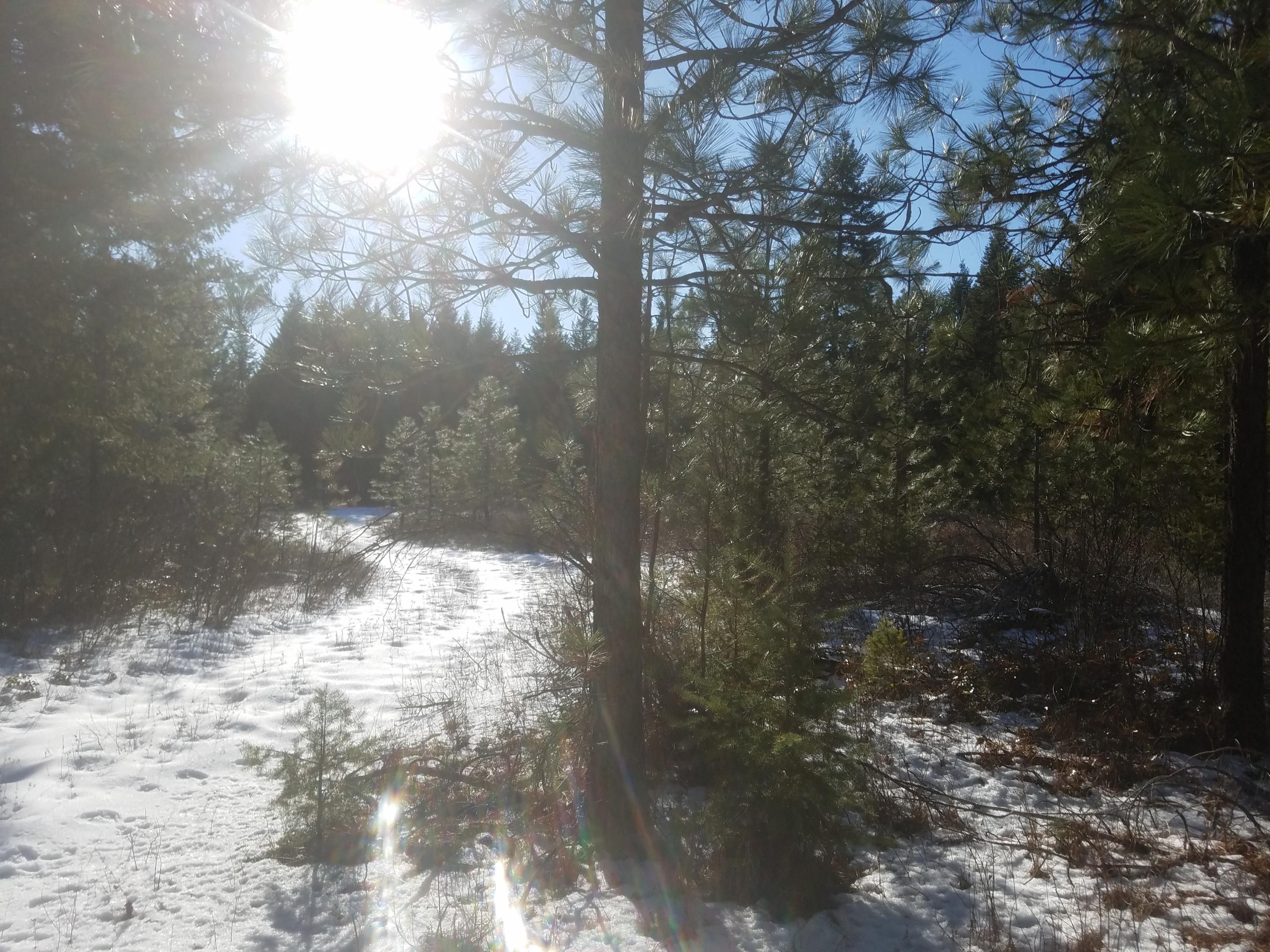 Inchelium, Ferry County, WA Undeveloped Land for sale Property ID