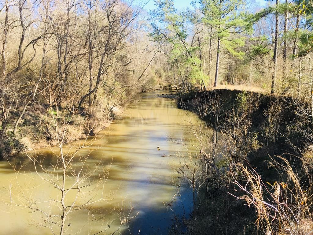 Liberty, Amite County, MS Lakefront Property, Waterfront Property