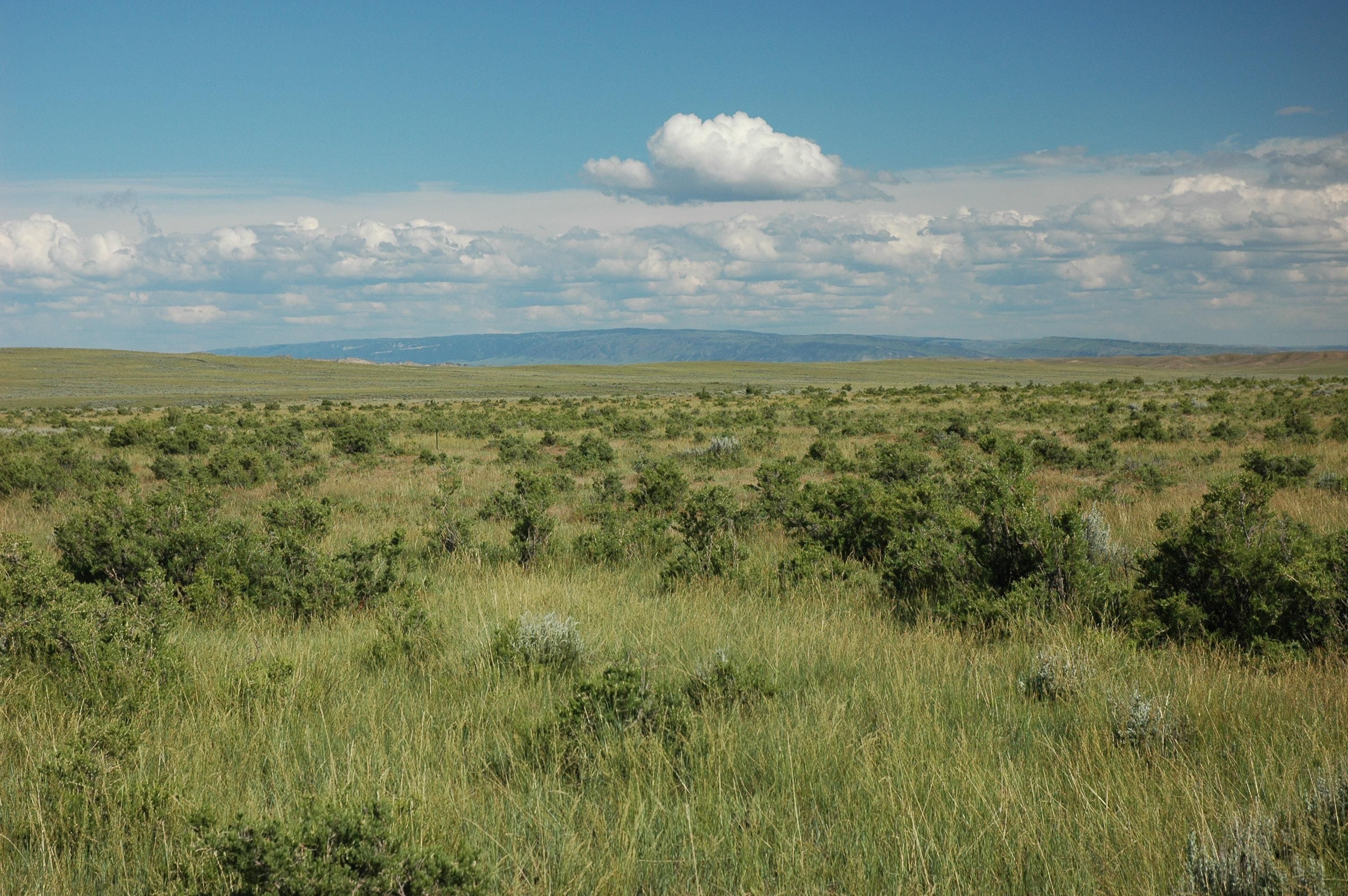 Natrona, Natrona County, WY Recreational Property, Undeveloped Land