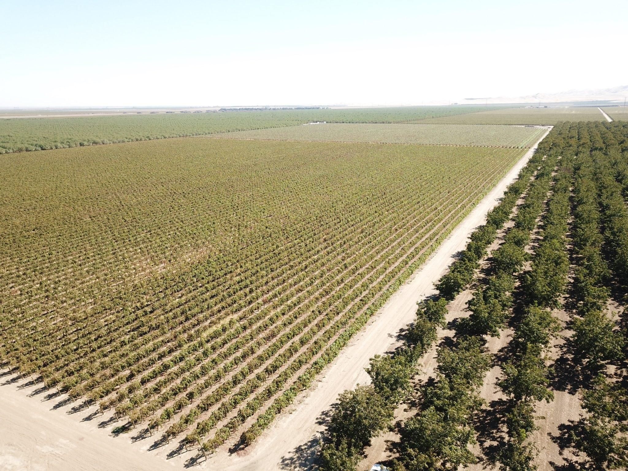 Westside, Fresno County, CA Farms and Ranches for sale Property ID