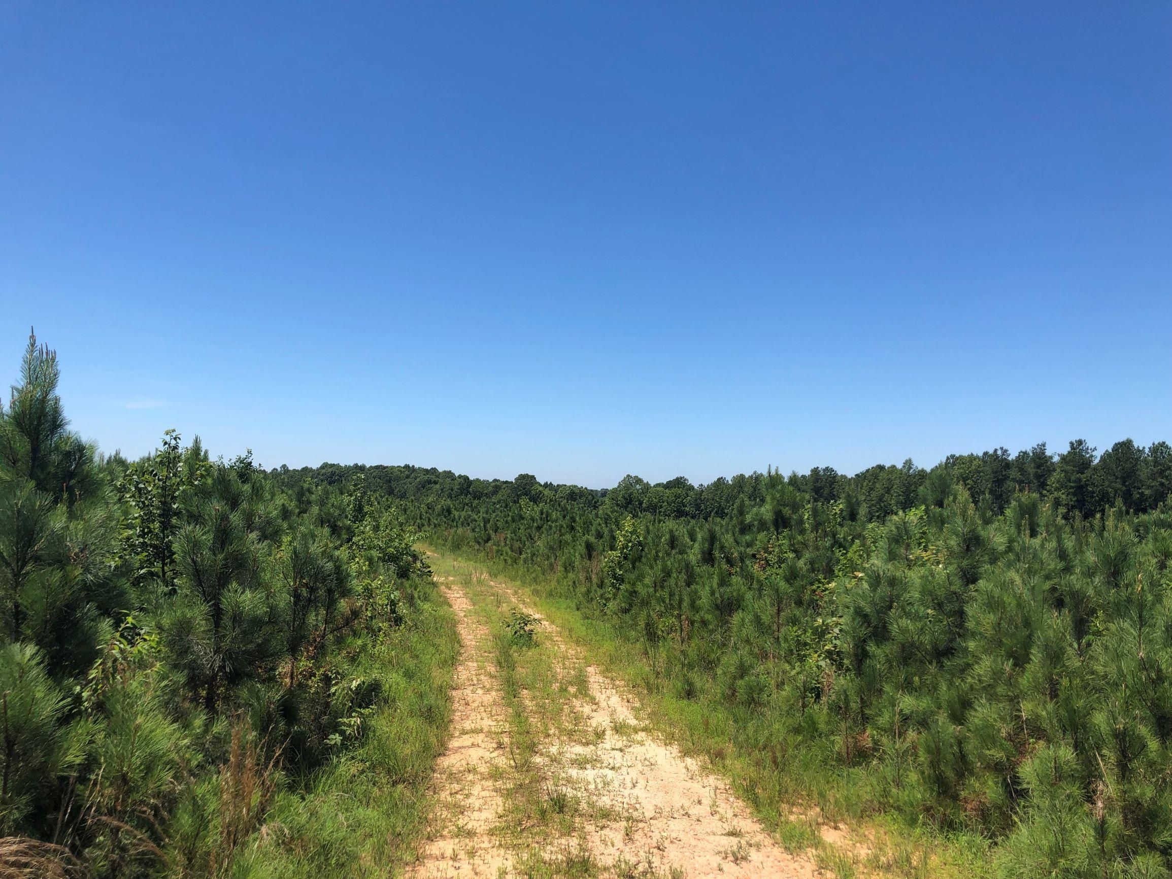 Green Bay, Prince Edward County, VA Timberland Property, Hunting Property for sale Property ID