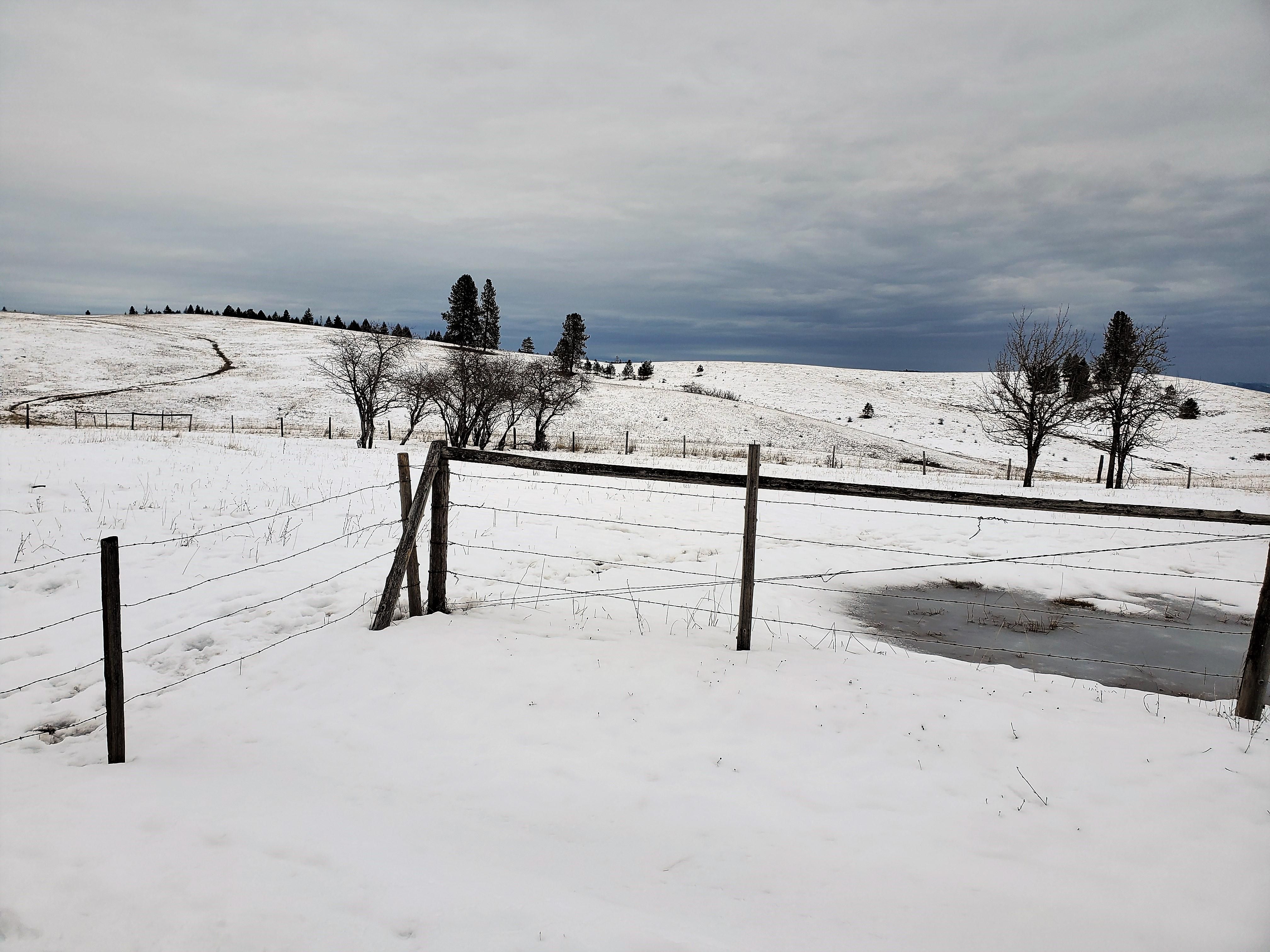 Kamiah, Idaho County, ID Farms and Ranches, Recreational Property for