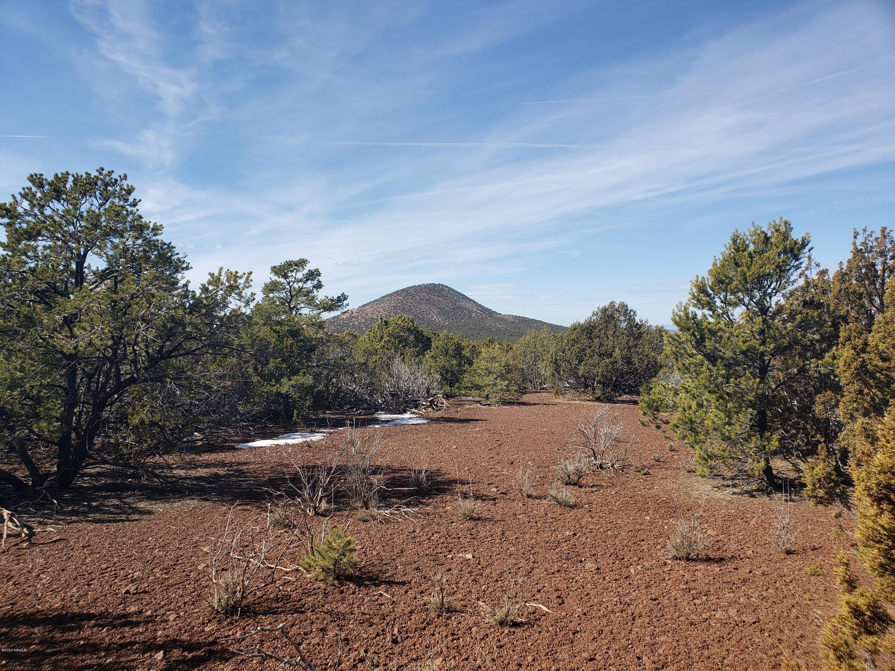 Williams, Coconino County, AZ Undeveloped Land for sale Property ID