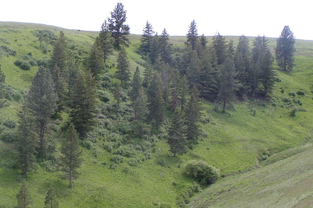 Enterprise, Wallowa County, OR Farms and Ranches, Recreational Property