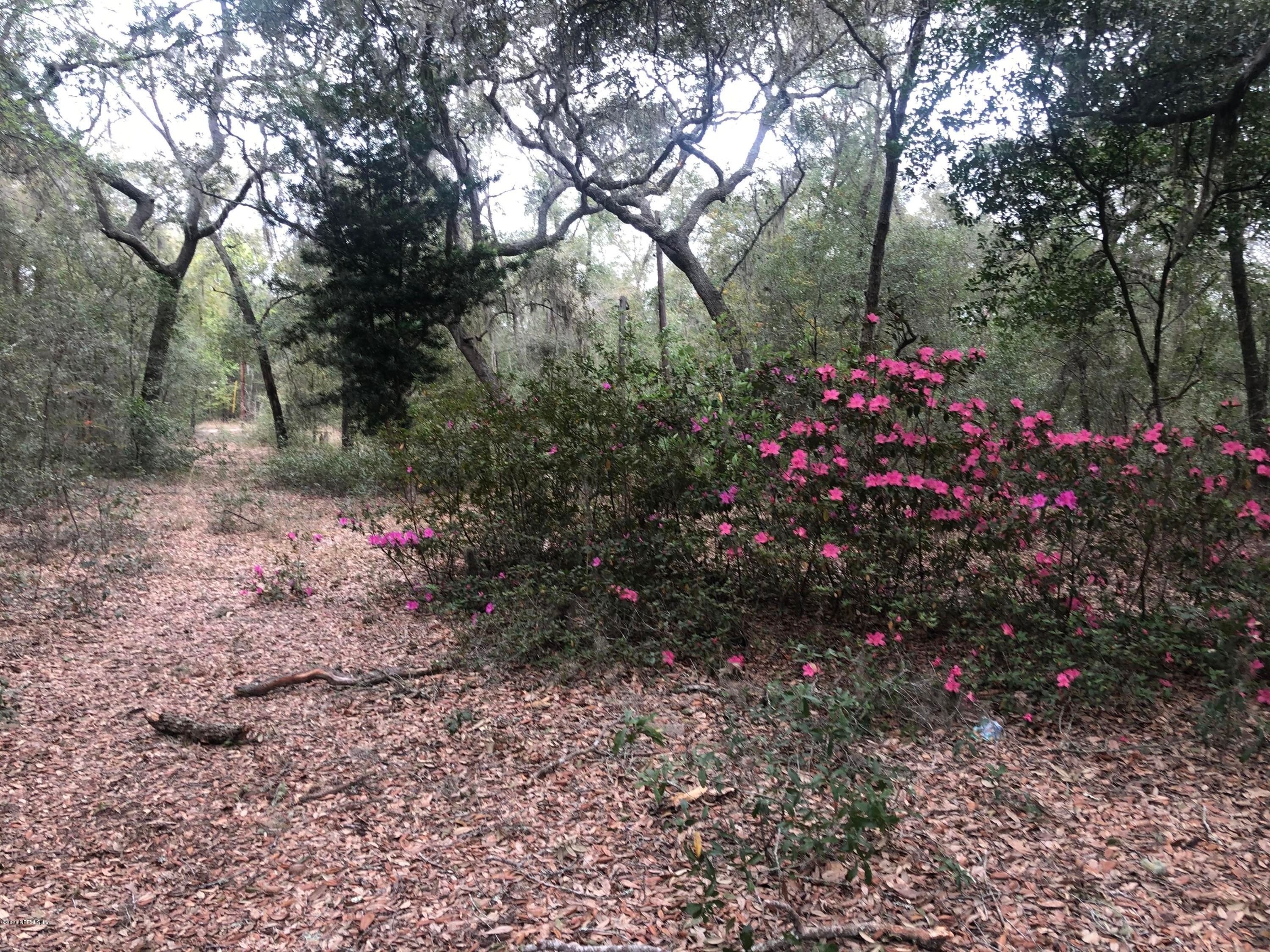 Melrose, Putnam County, FL Undeveloped Land, Lakefront Property