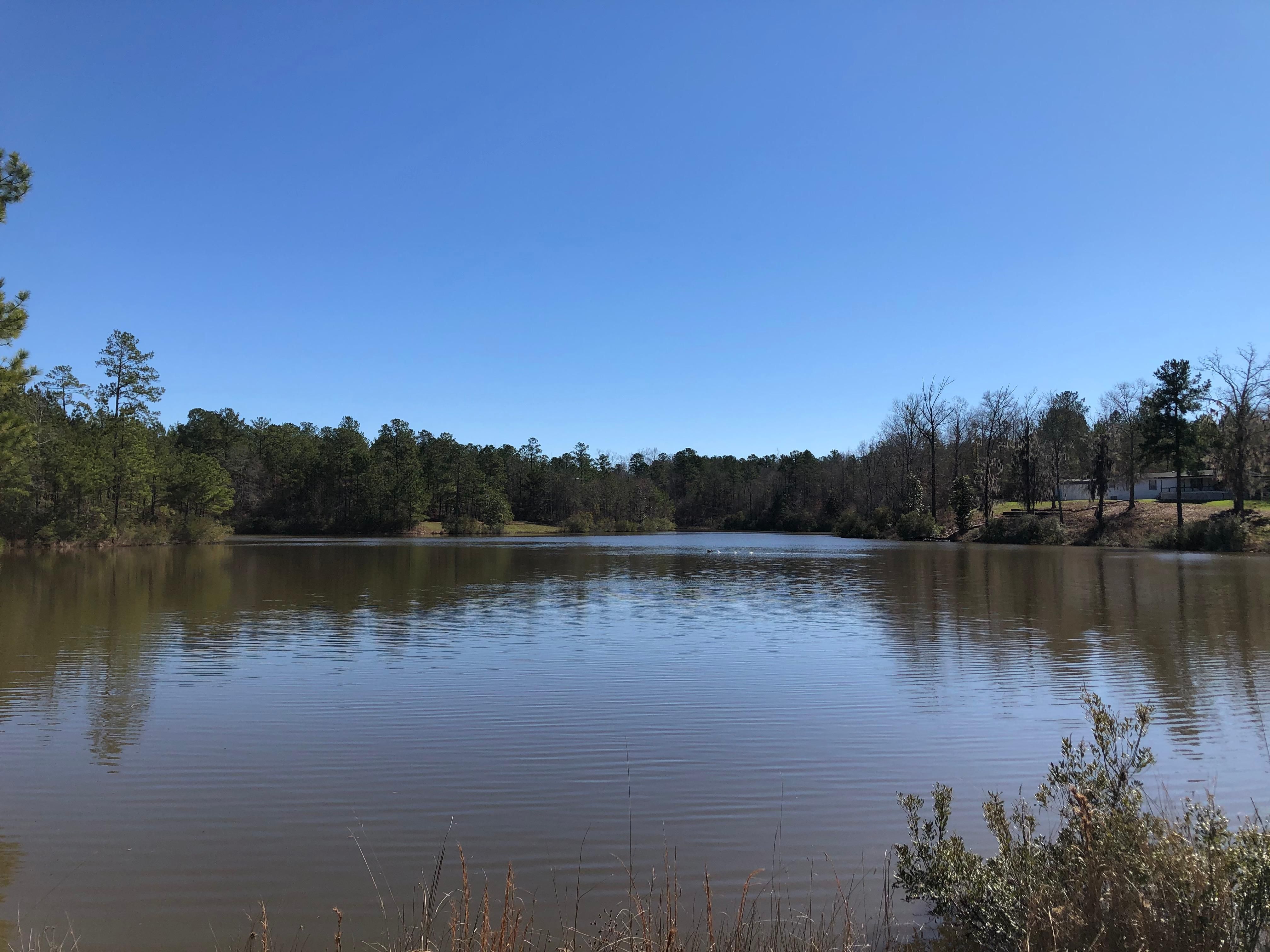 County Road 19, Hardaway, AL 36039 LandWatch