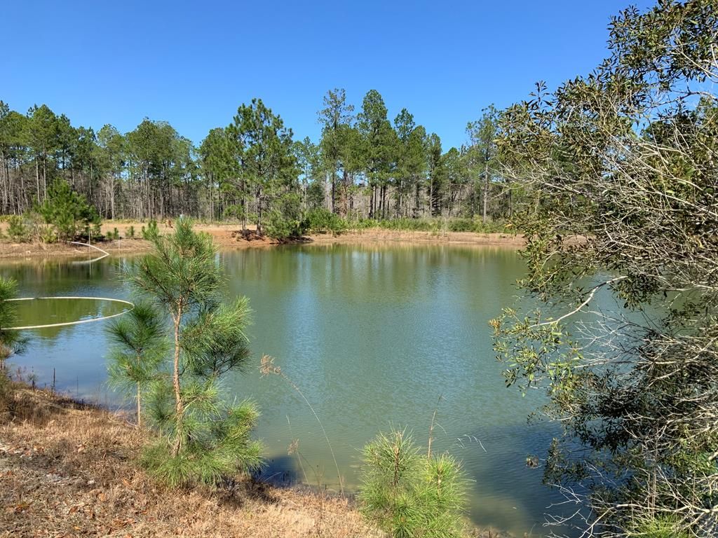 Hazlehurst, Jeff Davis County, GA Undeveloped Land for sale Property ID