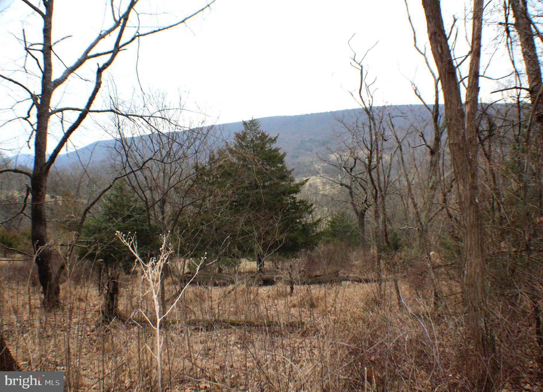 Mathias, Hardy County, WV Undeveloped Land for sale Property ID