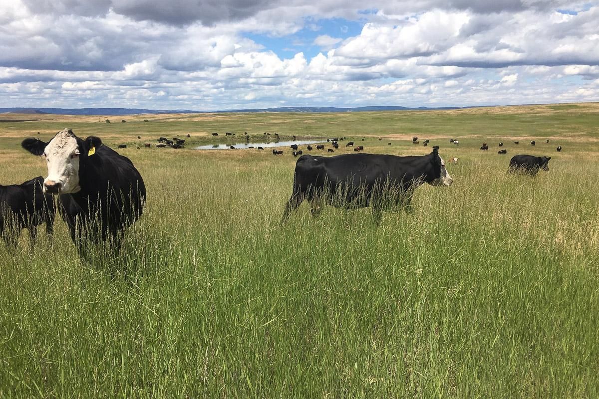 Enterprise, Wallowa County, OR Farms and Ranches, Recreational Property