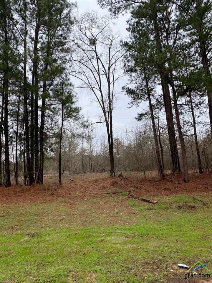 Jacksonville, Cherokee County, TX Undeveloped Land for sale Property ID