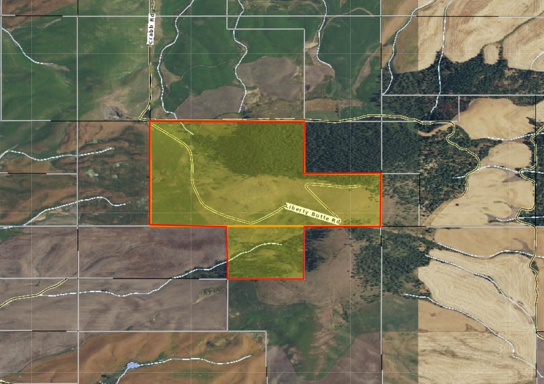 Tensed, Benewah County, ID Undeveloped Land for sale Property ID