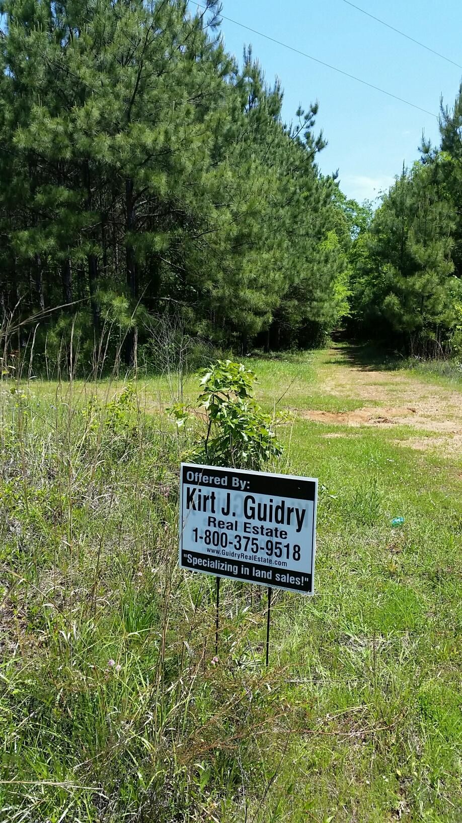 Many, Sabine Parish, LA Recreational Property, Timberland Property
