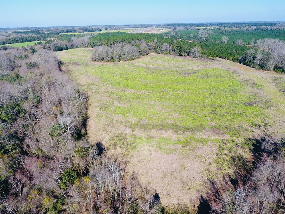 Theodore, Mobile County, AL Commercial Property, Riverfront Property