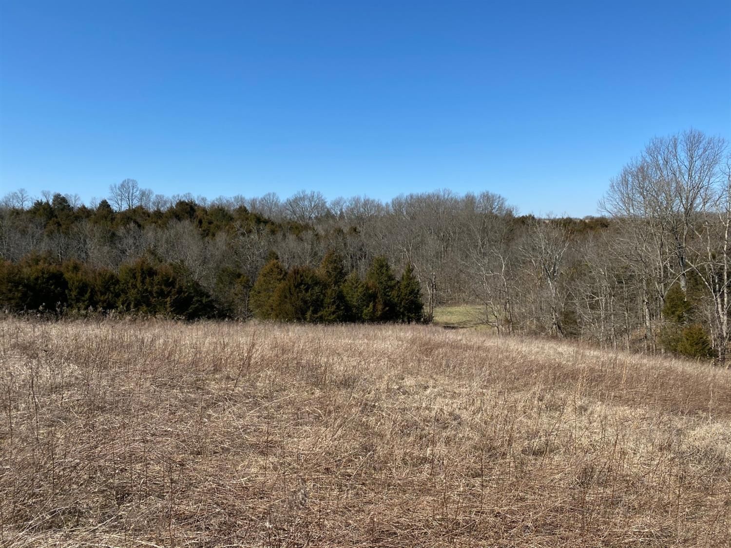 Corinth, Grant County, KY Farms and Ranches for sale Property ID