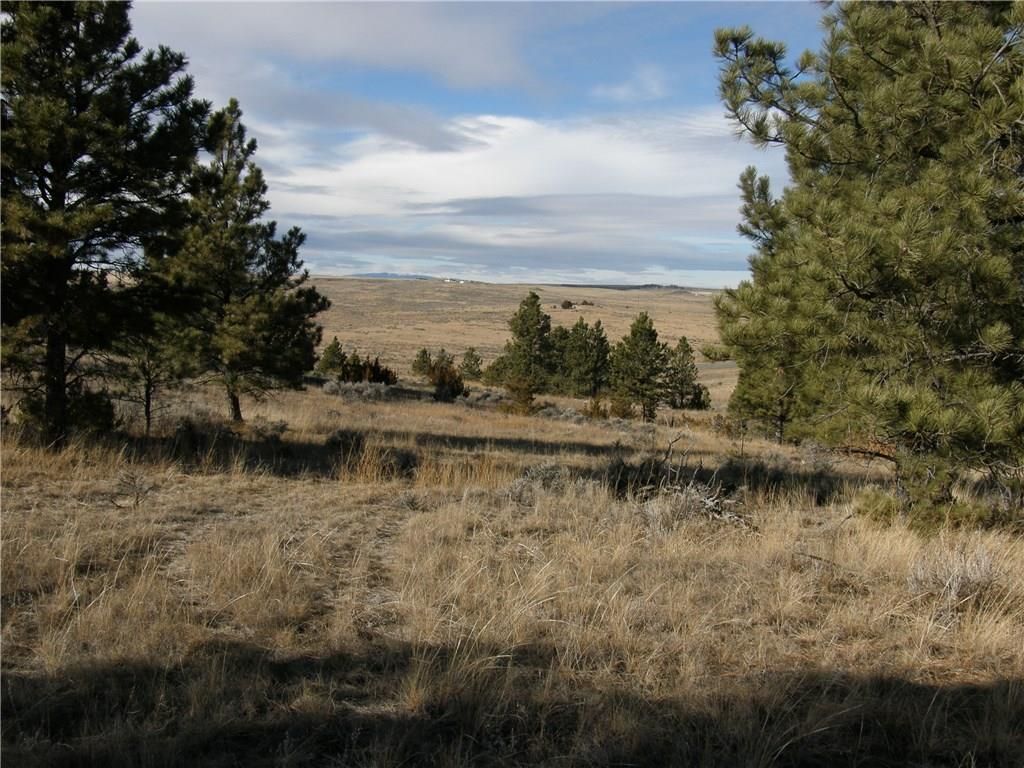 Roundup, Musselshell County, MT Undeveloped Land for sale Property ID