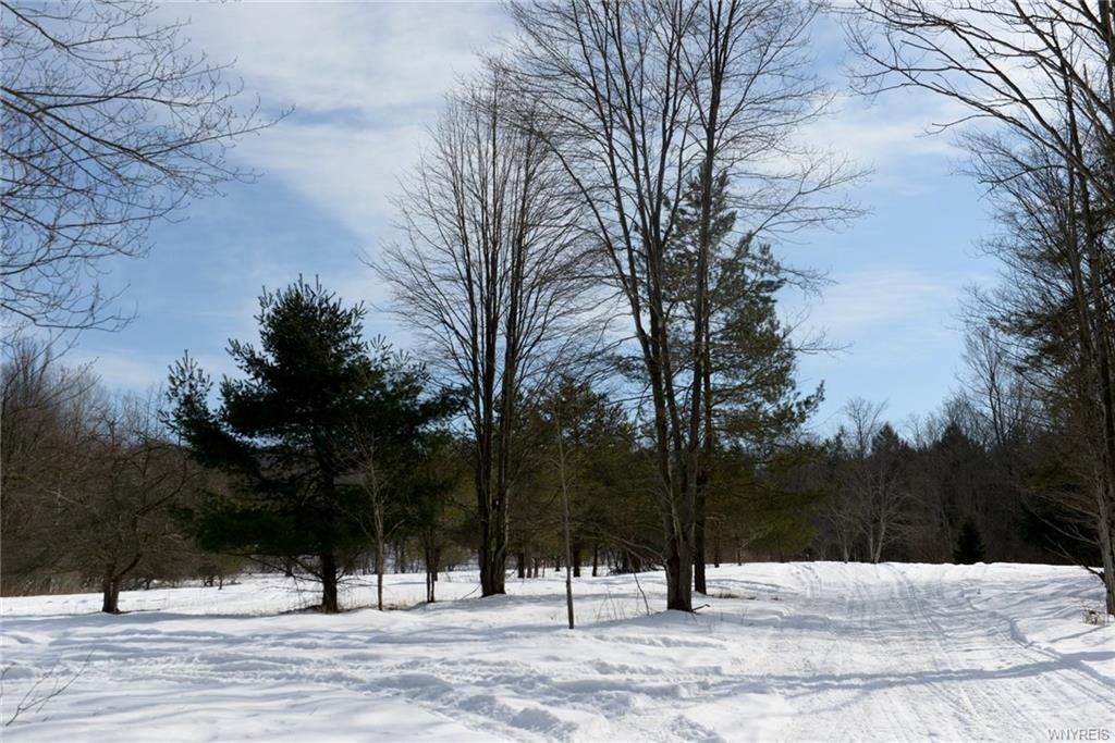 Colden, Erie County, NY Undeveloped Land for sale Property ID
