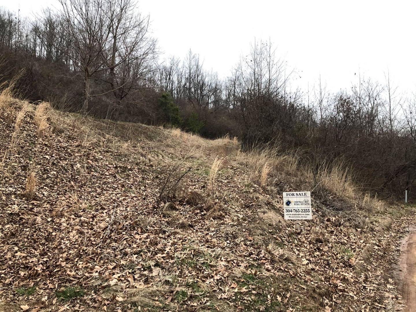 Flatwoods, Braxton County, WV Undeveloped Land, Homesites for sale