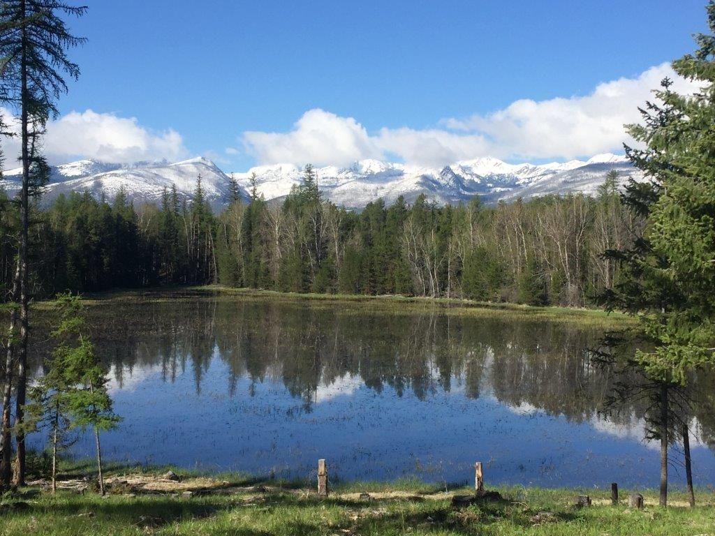 Condon, Missoula County, MT Undeveloped Land for sale Property ID