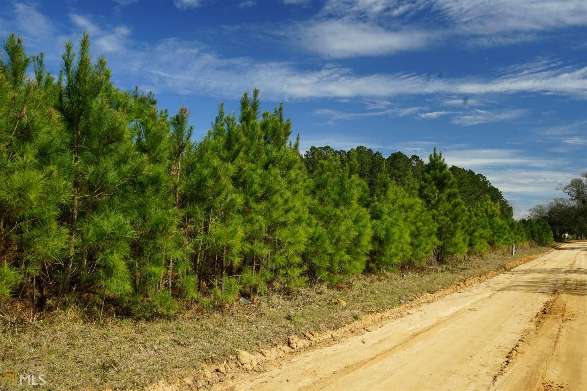 Daisy, Evans County, GA Undeveloped Land for sale Property ID