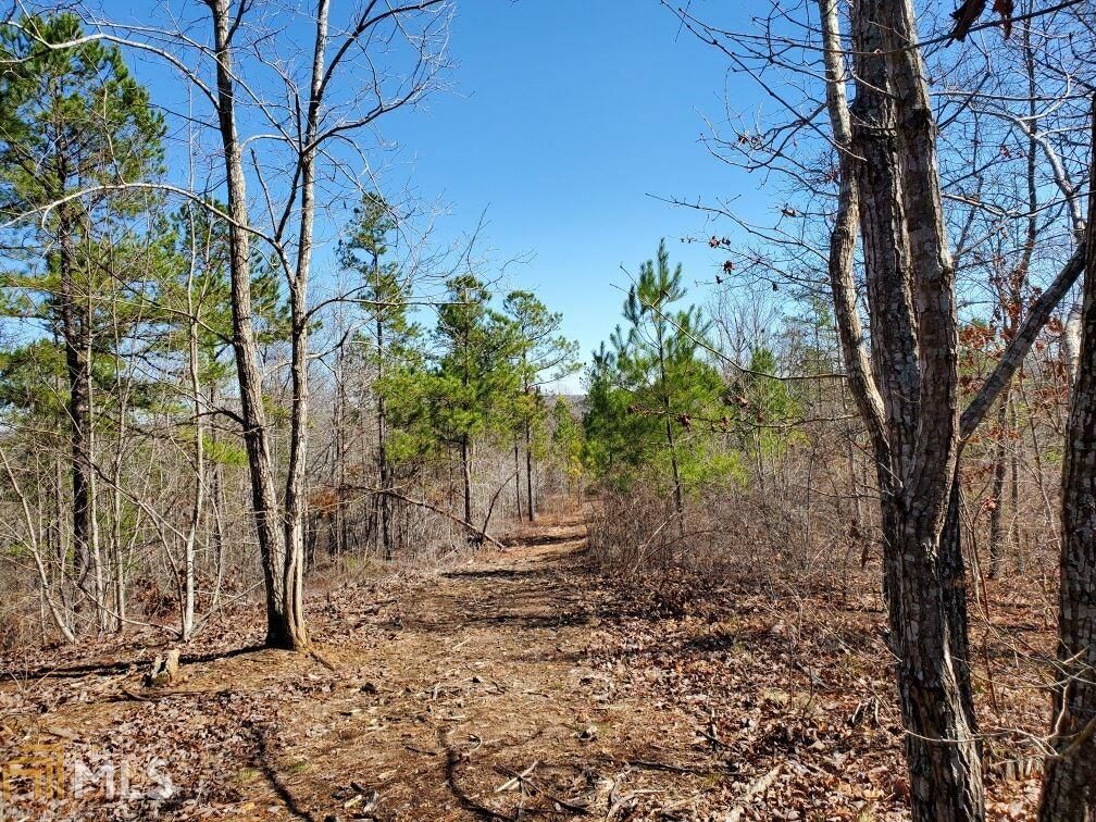 Dallas, Paulding County, GA Undeveloped Land for sale Property ID