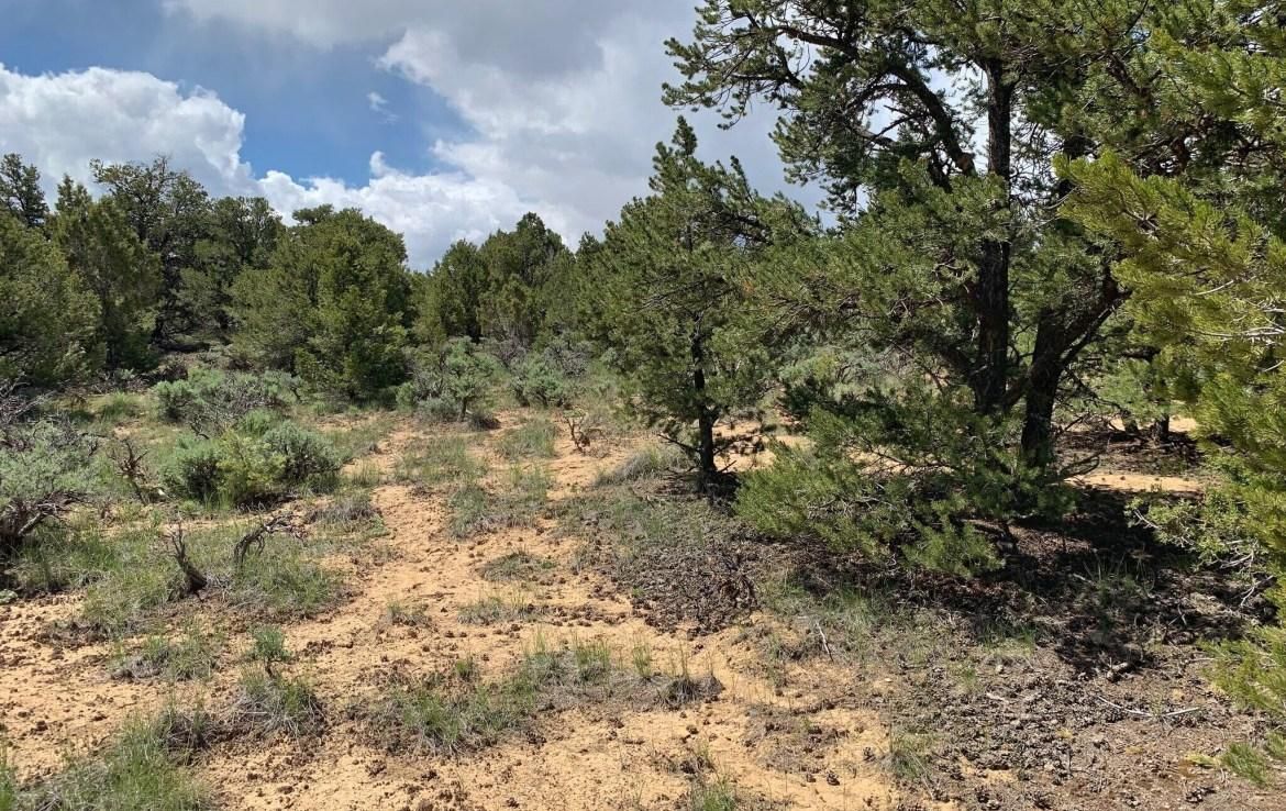 Duchesne, Duchesne County, UT Recreational Property, Undeveloped Land