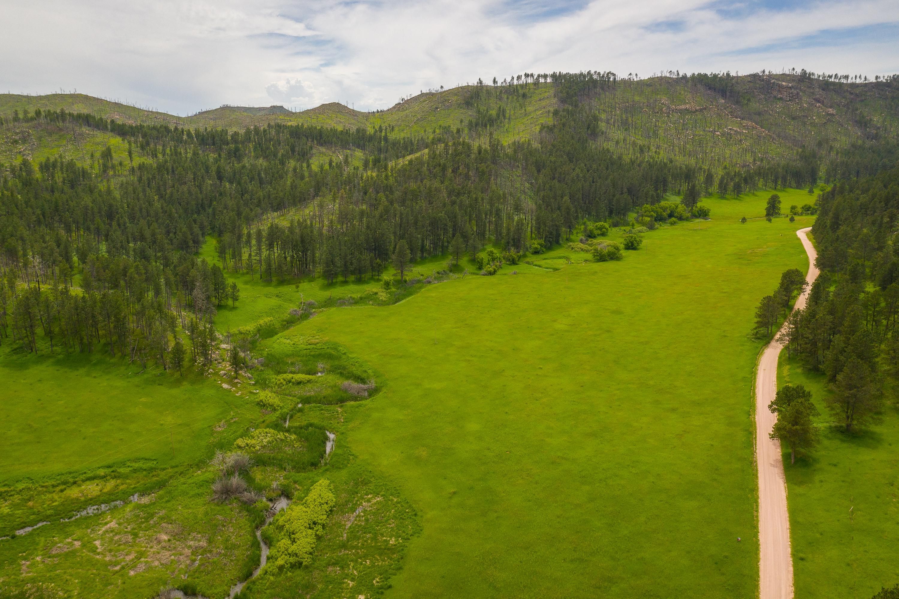 Beaver Creek Road, Pringle, SD 57730 MLS 60659 LandWatch