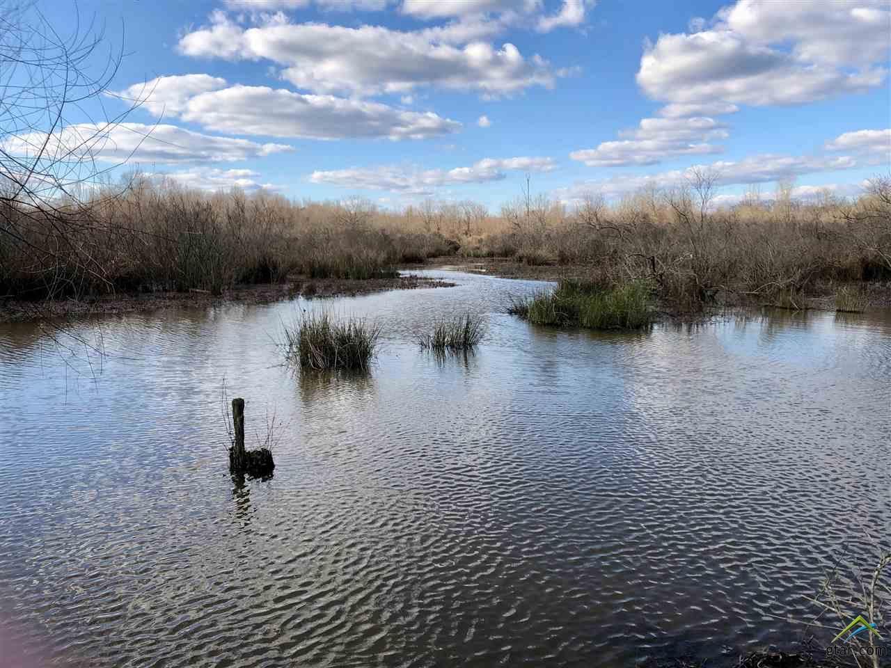 Marietta, Cass County, TX Undeveloped Land for sale Property ID