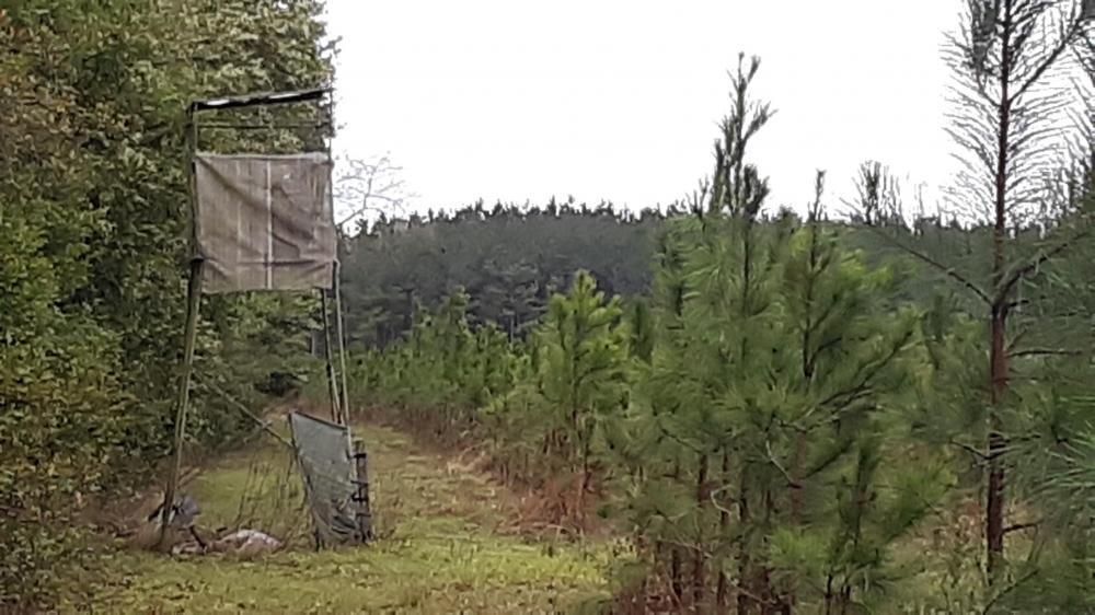 Madison, Madison County, FL Recreational Property, Timberland Property