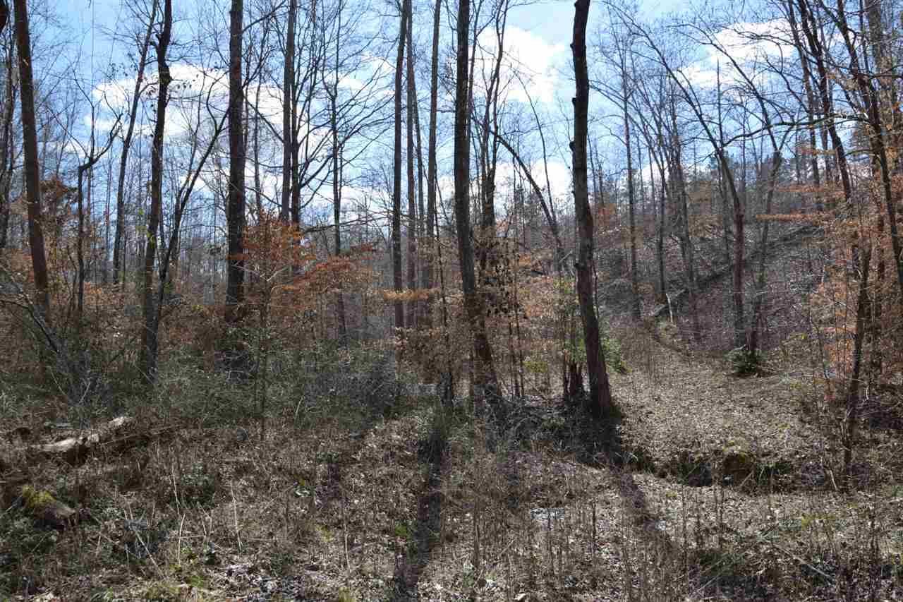 Bolivar, Hardeman County, TN Farms and Ranches for sale Property ID