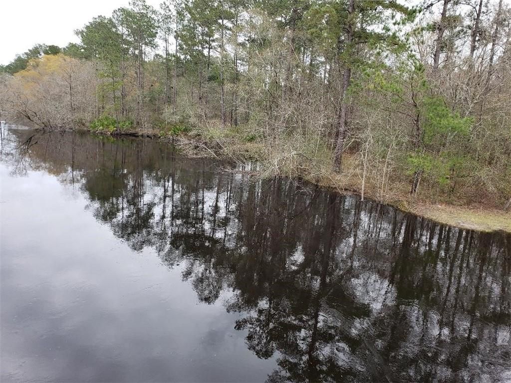 Hortense, Brantley County, GA Undeveloped Land, Homesites for sale