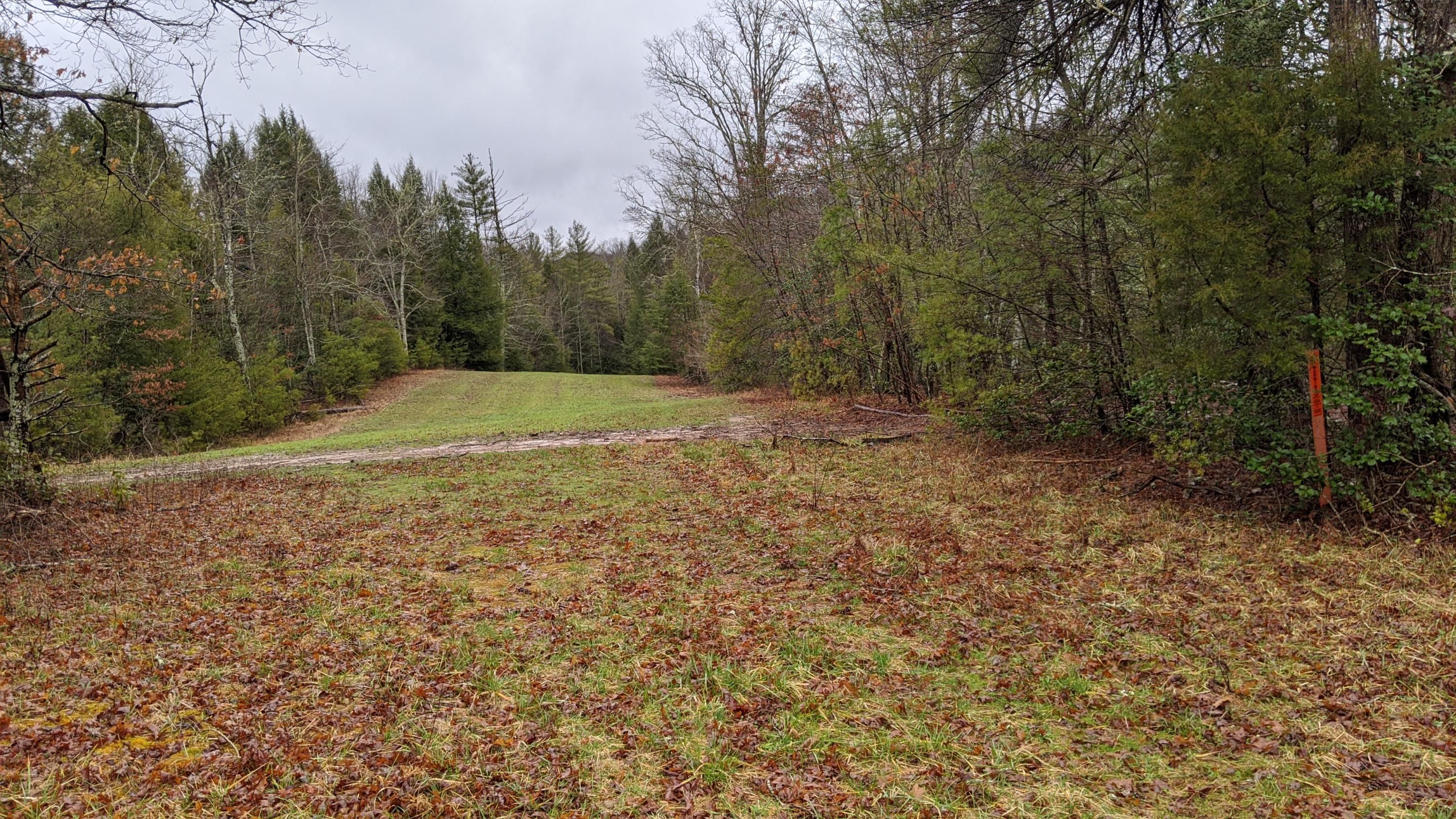 Sunbright, County, TN Undeveloped Land for sale Property ID