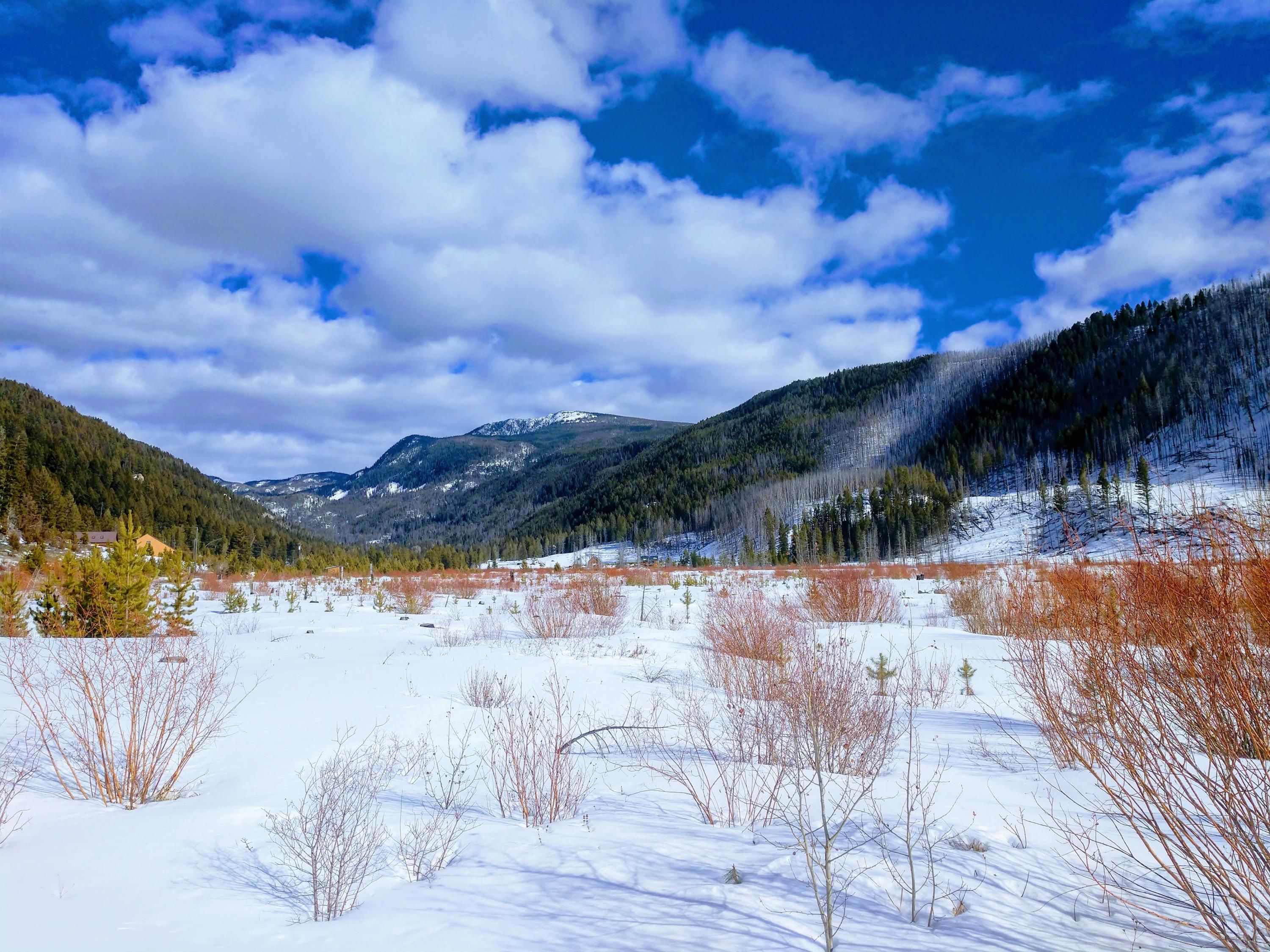 Philipsburg, Granite County, MT Undeveloped Land for sale Property ID