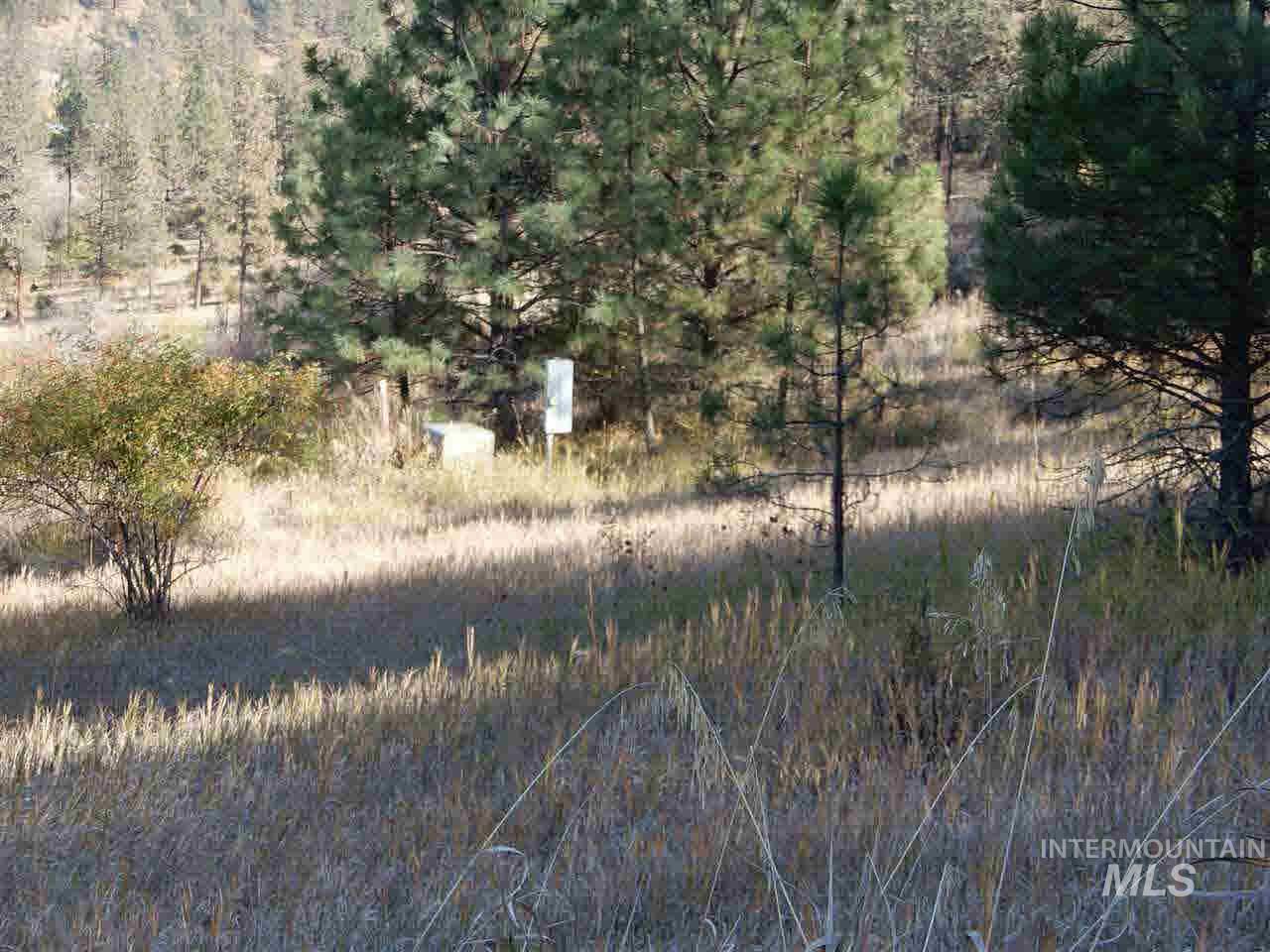 Stites, Idaho County, ID Undeveloped Land for sale Property ID